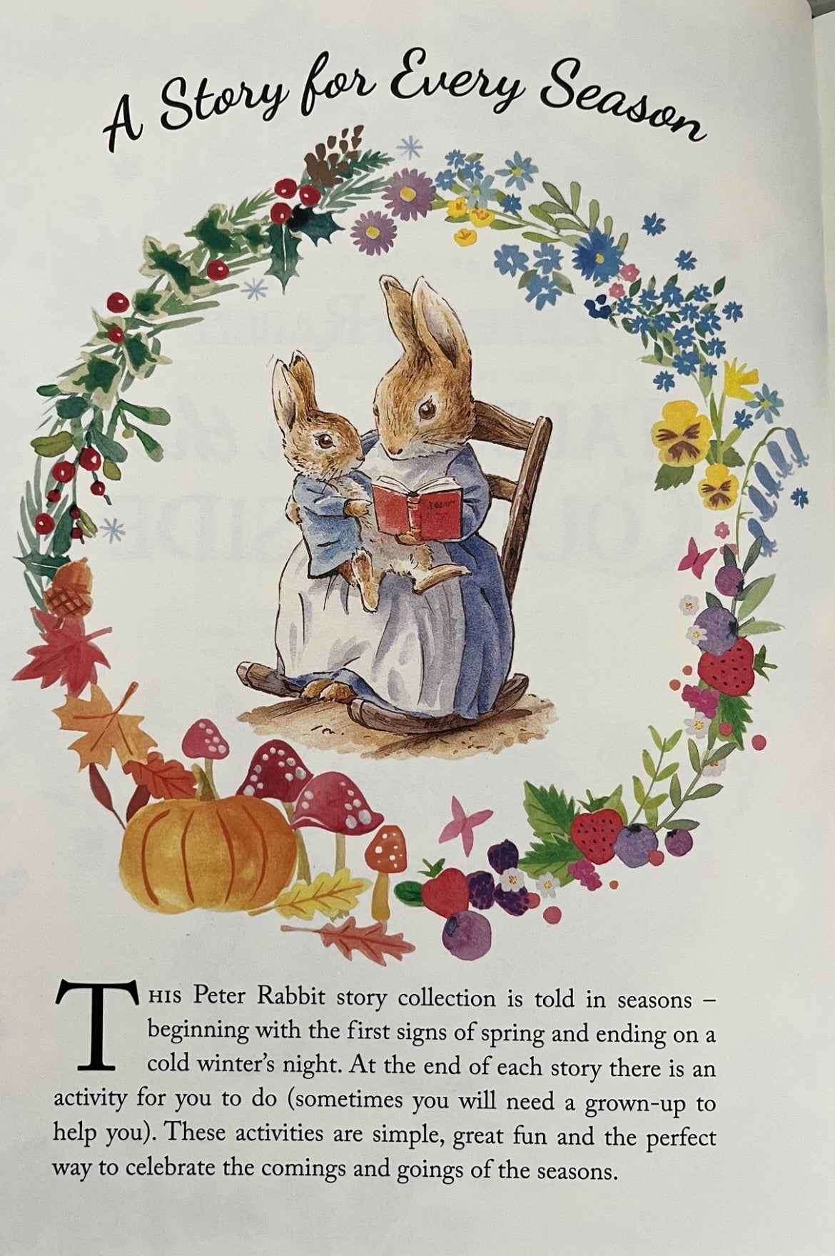 Children's Picture Chapter Book - PETER RABBIT'S TALES FROM THE COUNTRYSIDE, with Crafting Ideas!