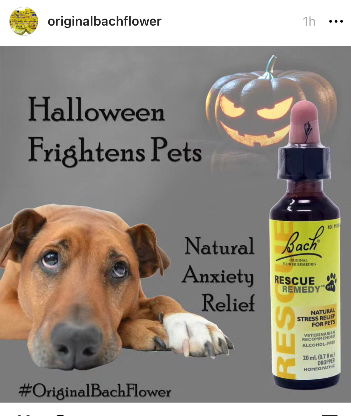 Pet Holistic Health - RESCUE REMEDY TONIC