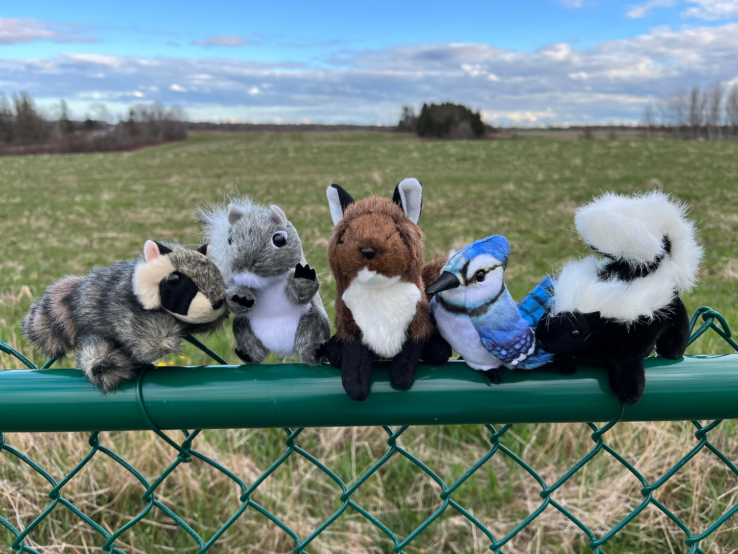 Soft Mini Puppet Set - WILD ANIMALS in TORONTO