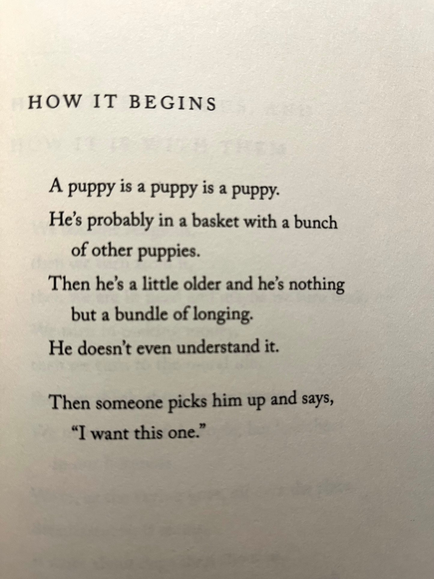 Parenting Resource Book - DOG SONGS, poems by Mary Oliver