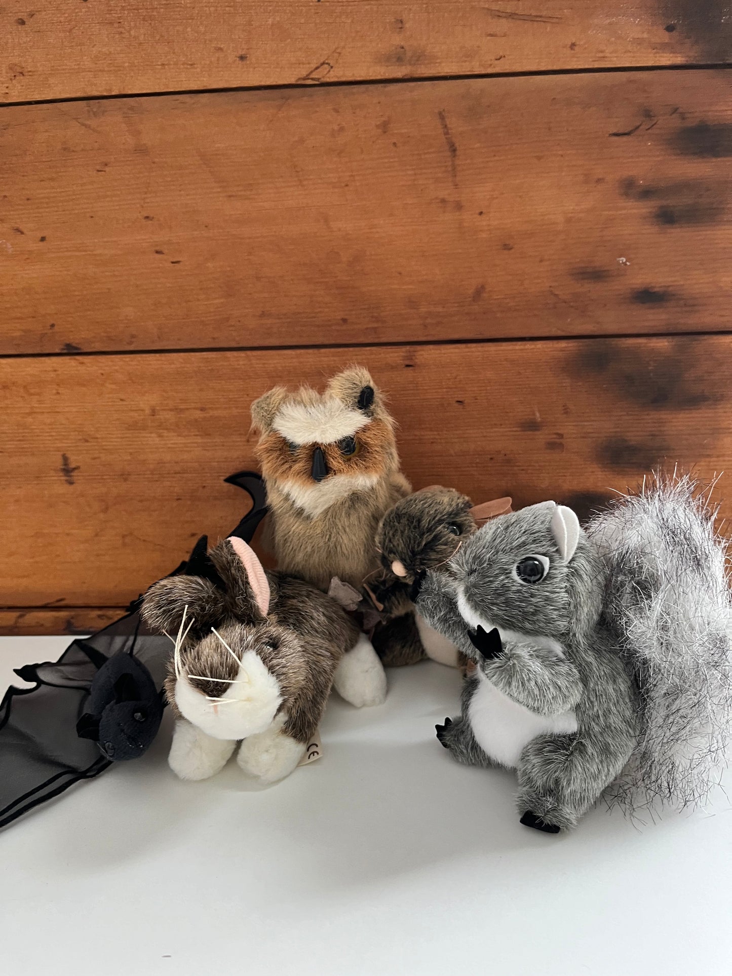 Soft Mini Puppet Set - WILD ANIMALS of the GATINEAU HILLS