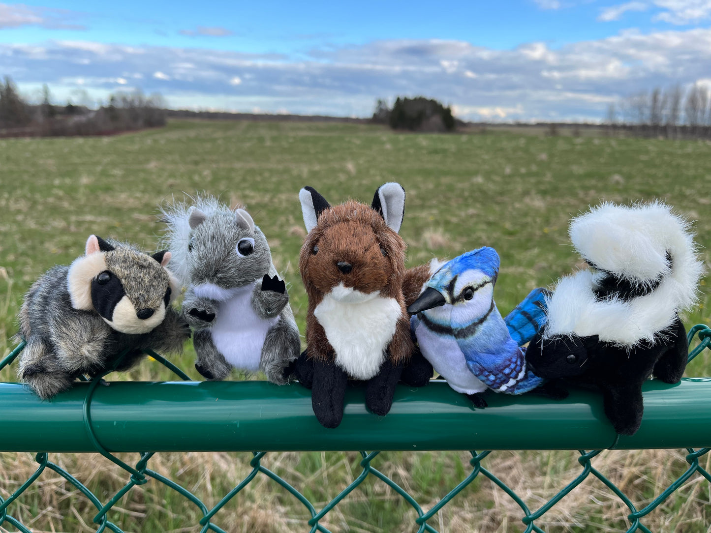 Soft Mini Puppet Set - WILD ANIMALS in TORONTO