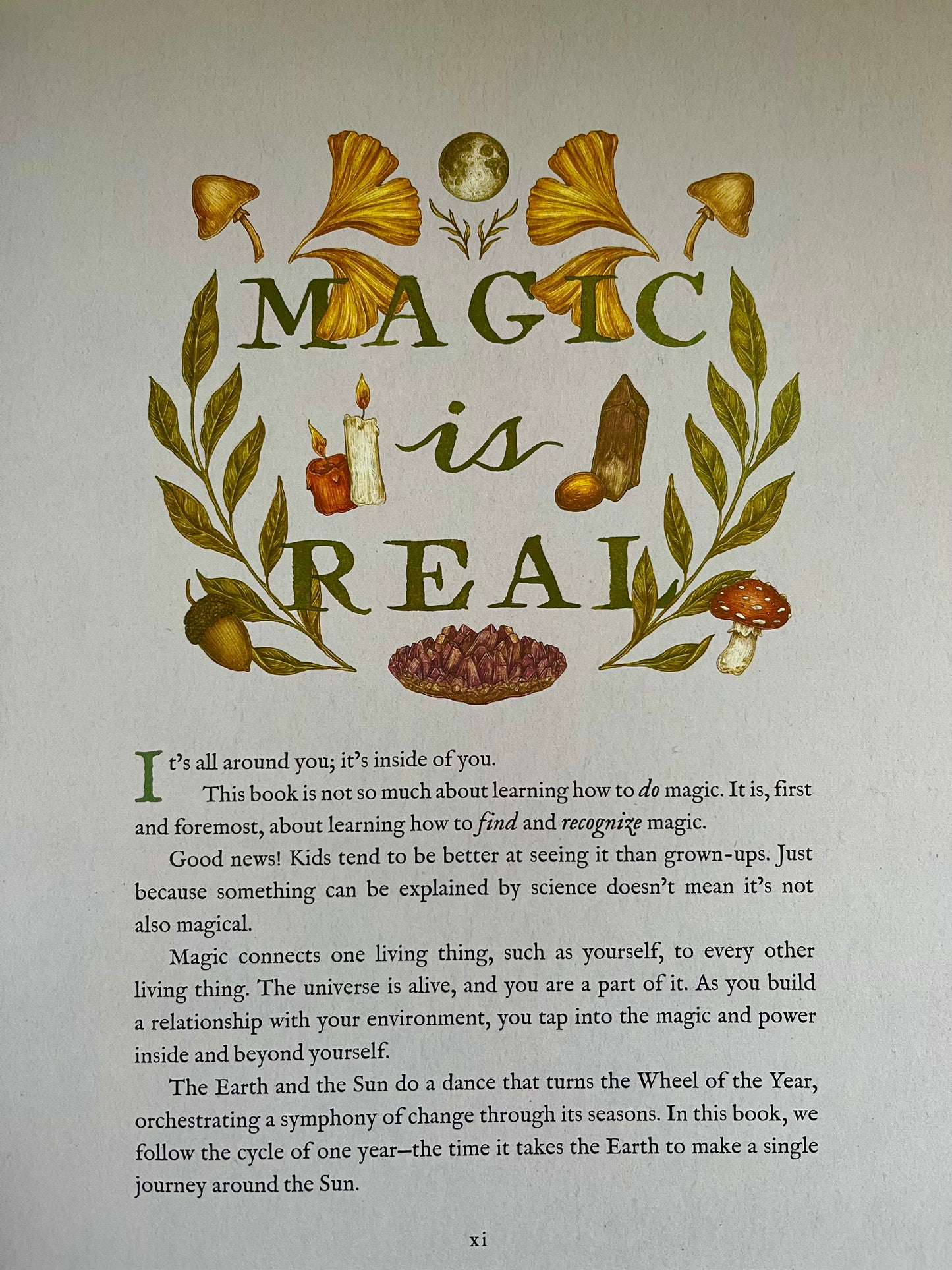 Parenting Resource Book - THE WHEEL OF THE YEAR, An Illustrated Guide to Nature's Rhythms🤩