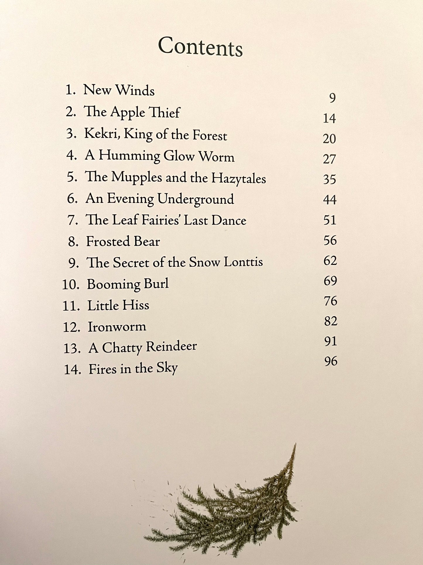 Children's Picture Chapter Book - OTTO AND THE SECRET LIGHT OF CHRISTMAS