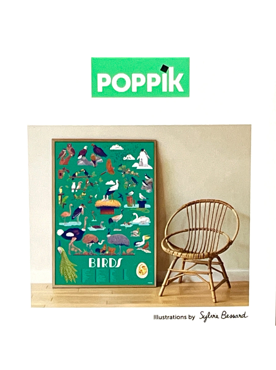 Activity Set - BIRDS TO DISCOVER, 45 stickers!