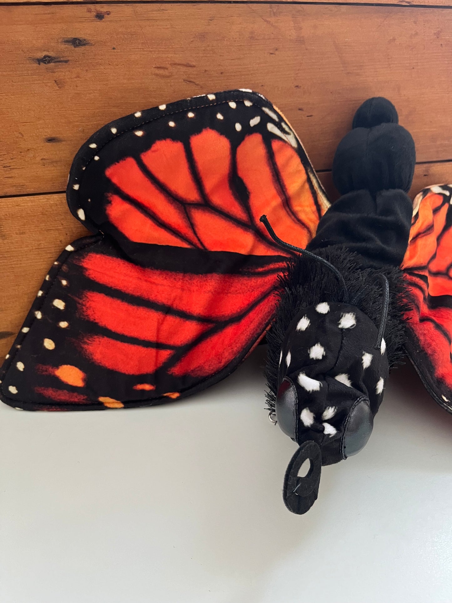Educational Soft Puppet - MONARCH BUTTERFLY LIFE-CYCLE Hand Puppet (Large)