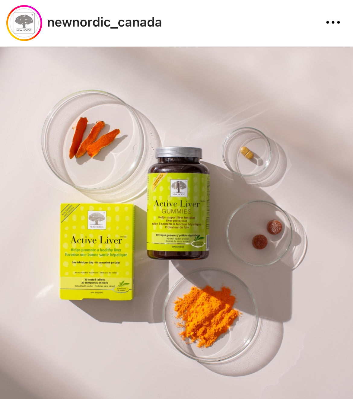 Santé holistique - Nouveau Foie actif nordique, NOUVEAU ! Des gommes !