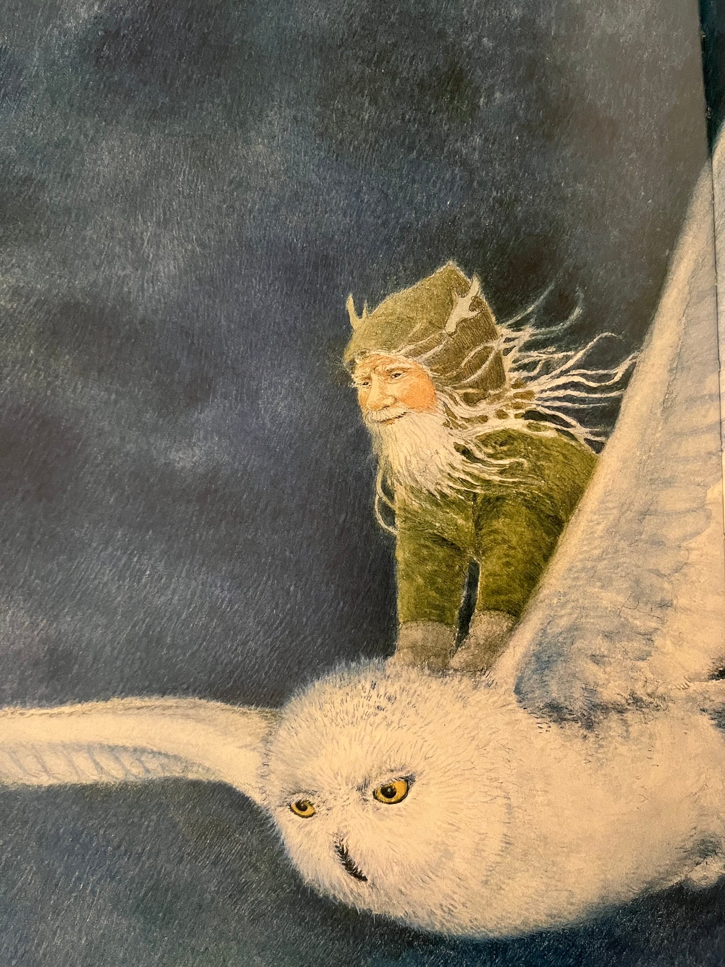 Children's Picture Chapter Book - OTTO AND THE SECRET LIGHT OF CHRISTMAS