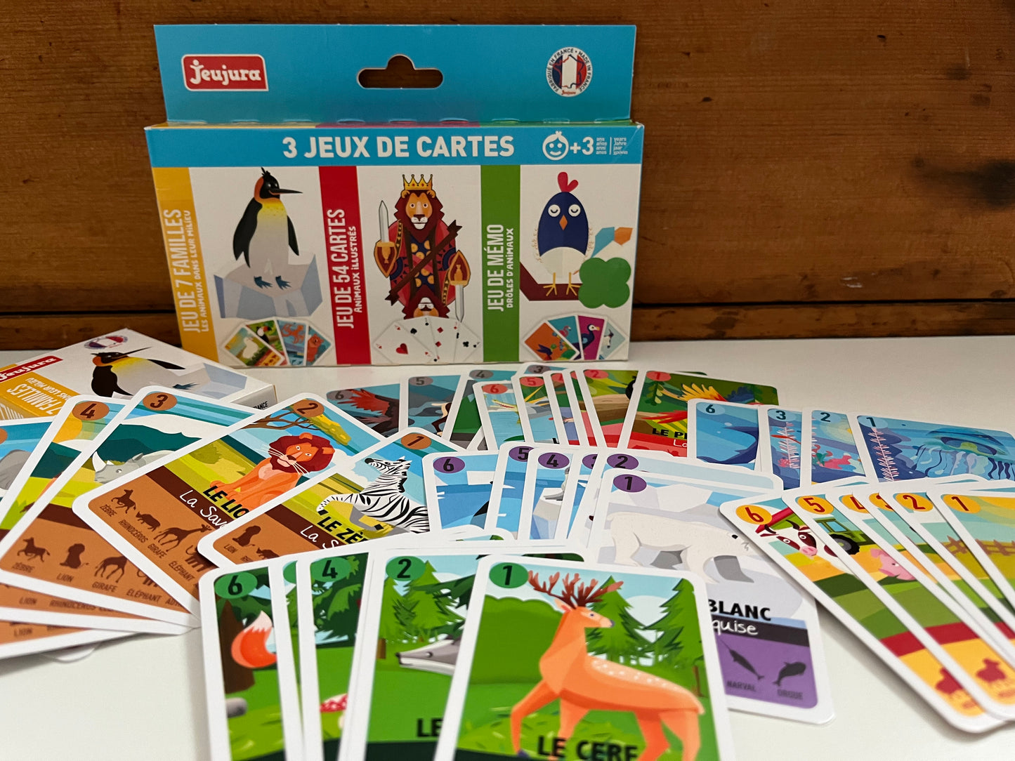 Activity Set - 3 CARD GAMES! - 7 Families, Memory & a Deck of 52 Paying Cards!