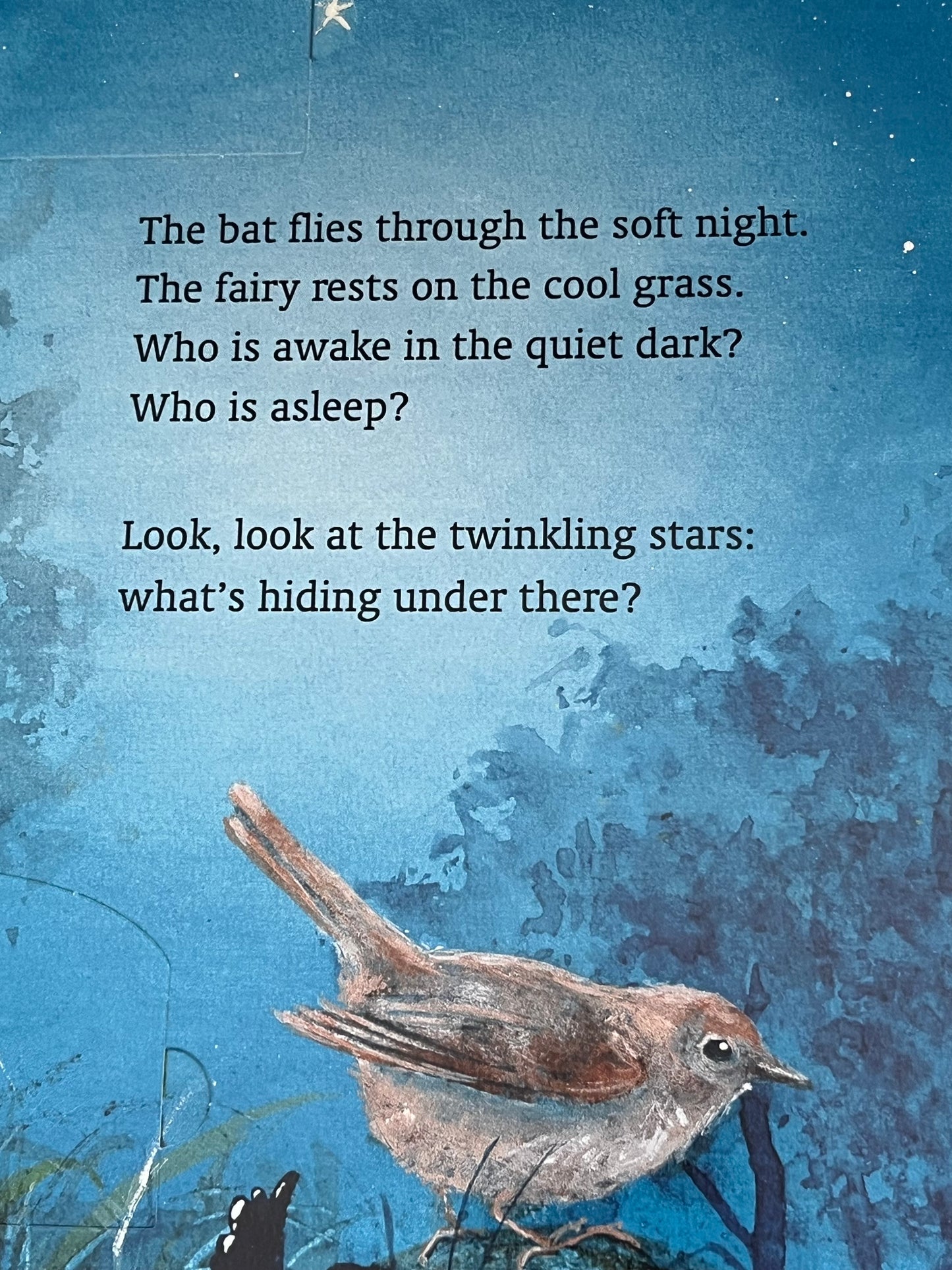 Board Picture Book, Baby - WHAT'S HIDING IN THERE?...a lift-the-flaps book!