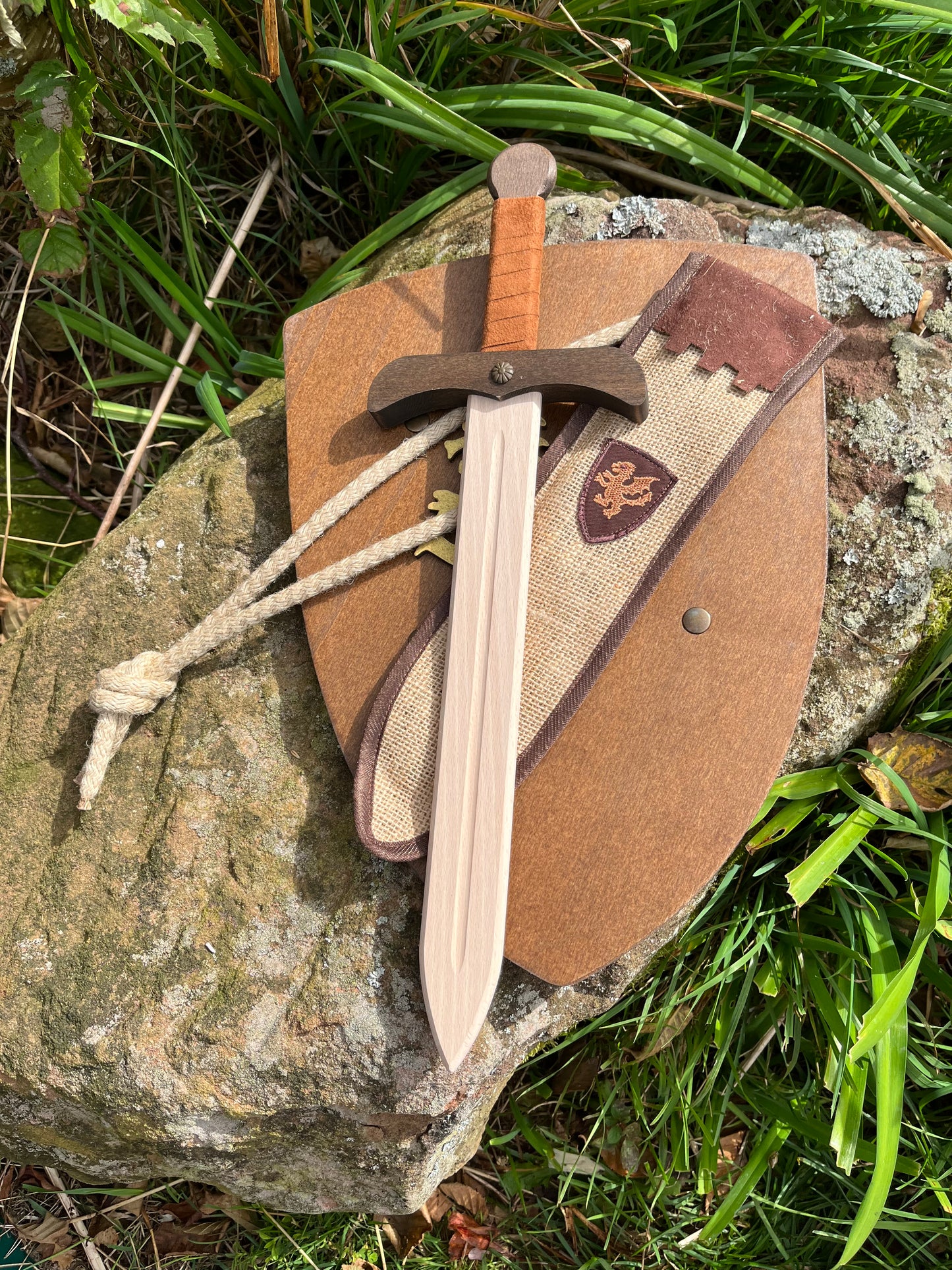 BOUCLIER DE DRAGON Royal en bois