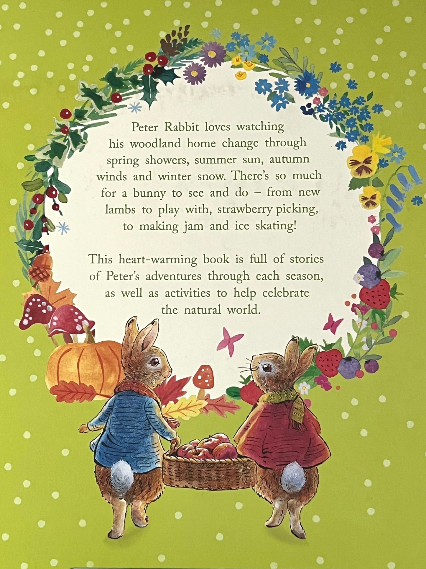 Livre de chapitres illustrés pour enfants - LES CONTES DE PIERRE LAPIN DE LA CAMPAGNE, avec des idées d'artisanat !