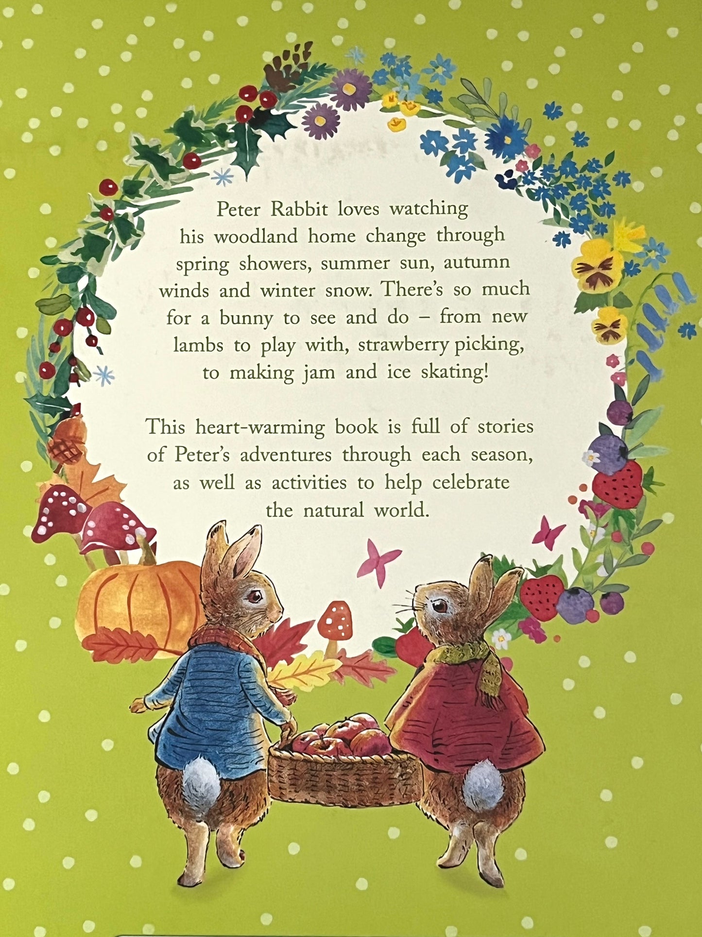 Children's Picture Chapter Book - PETER RABBIT'S TALES FROM THE COUNTRYSIDE, with Crafting Ideas!