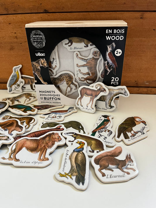 Ensemble d'activités - AIMANTS en bois, "Histoire naturelle zoologique", 20 aimants !