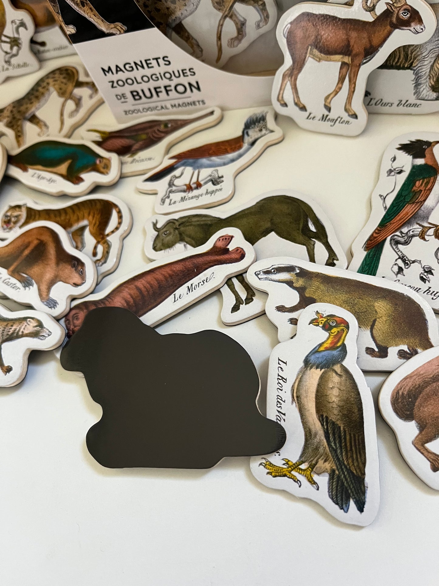 Ensemble d'activités - AIMANTS en bois, "Histoire naturelle zoologique", 20 aimants !