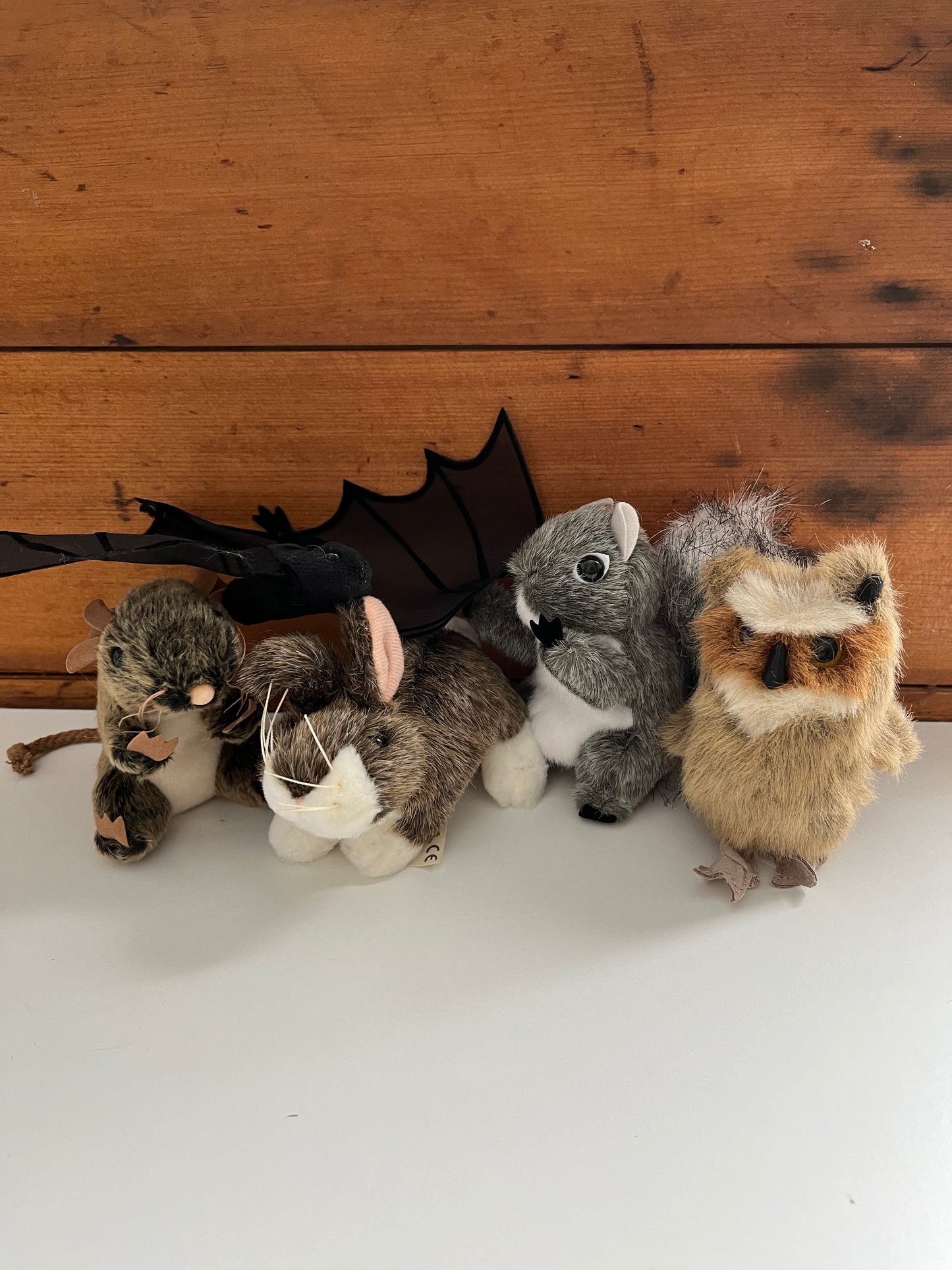Soft Mini Puppet Set - WILD ANIMALS of the GATINEAU HILLS