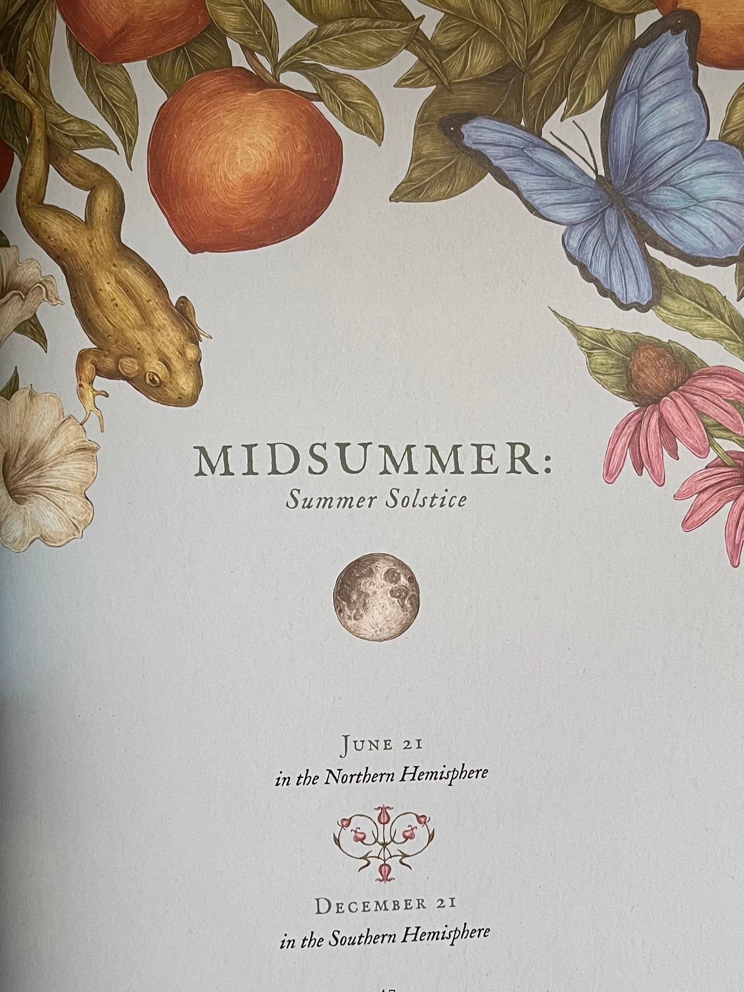 Parenting Resource Book - THE WHEEL OF THE YEAR, An Illustrated Guide to Nature's Rhythms🤩
