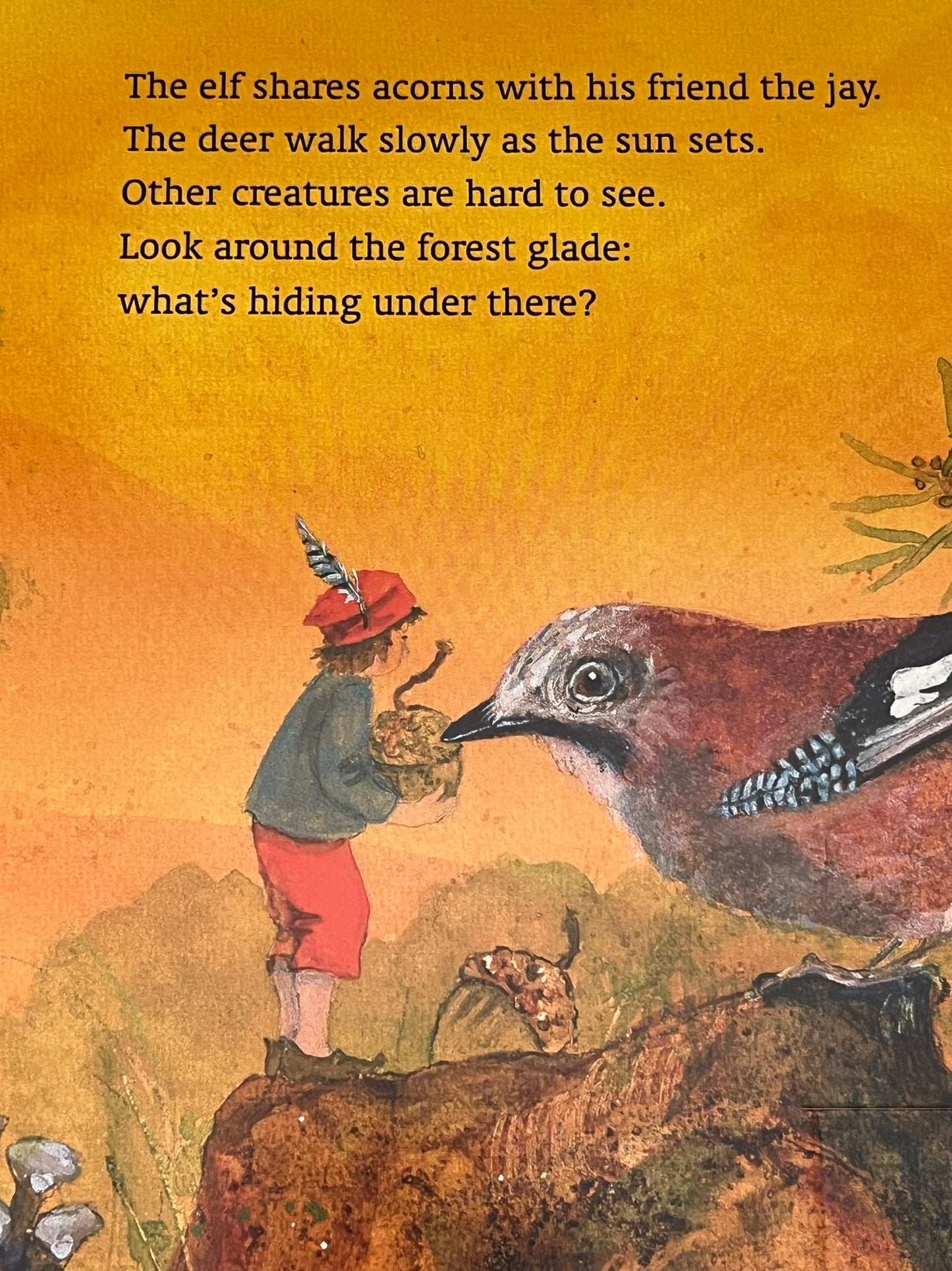 Board Picture Book, Baby - WHAT'S HIDING IN THERE?...a lift-the-flaps book!