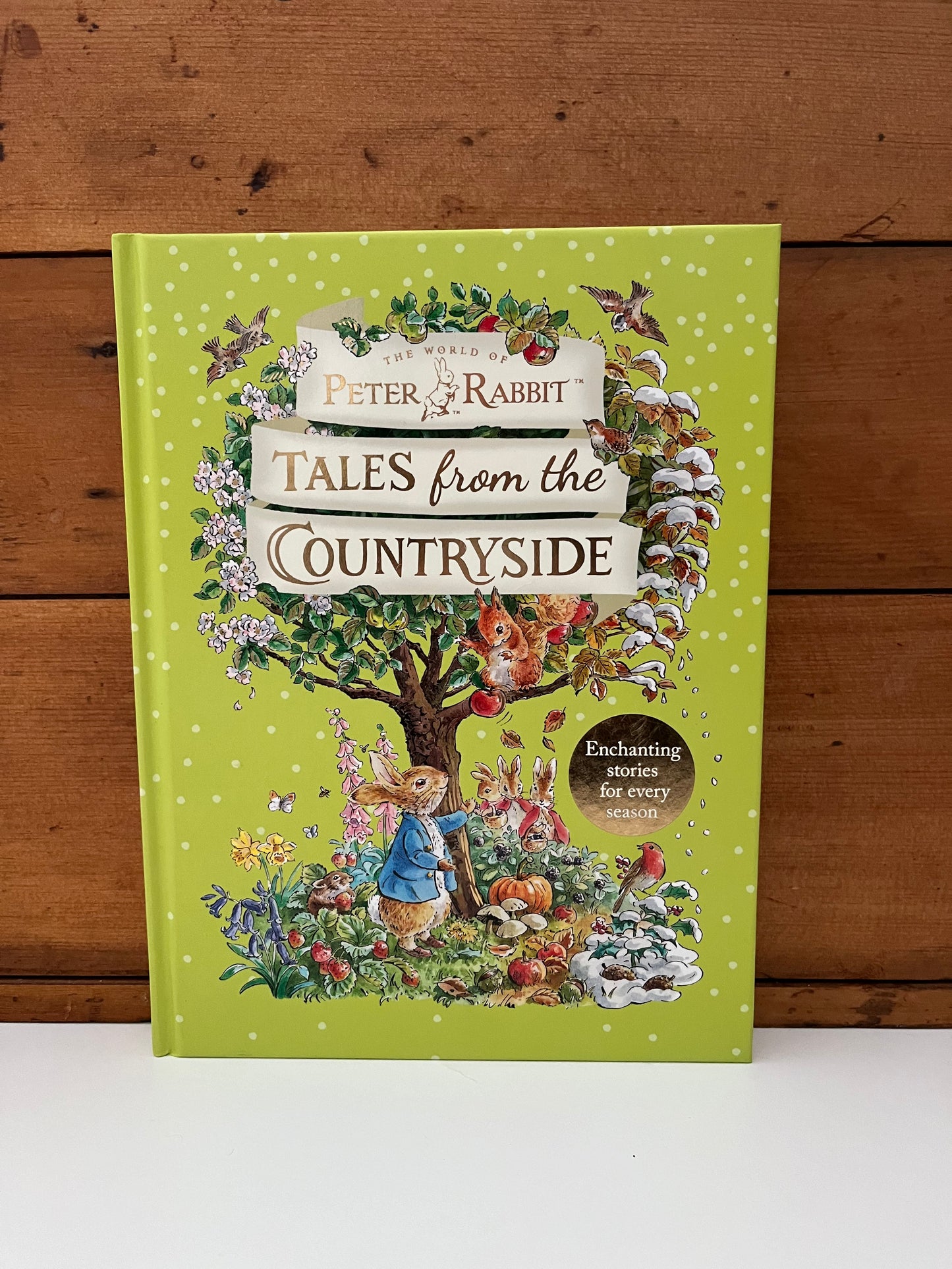 Children's Picture Chapter Book - PETER RABBIT'S TALES FROM THE COUNTRYSIDE, with Crafting Ideas!