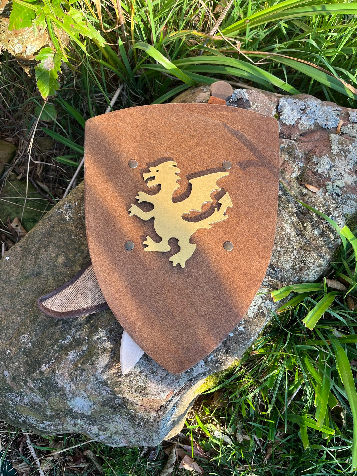 BOUCLIER DE DRAGON Royal en bois