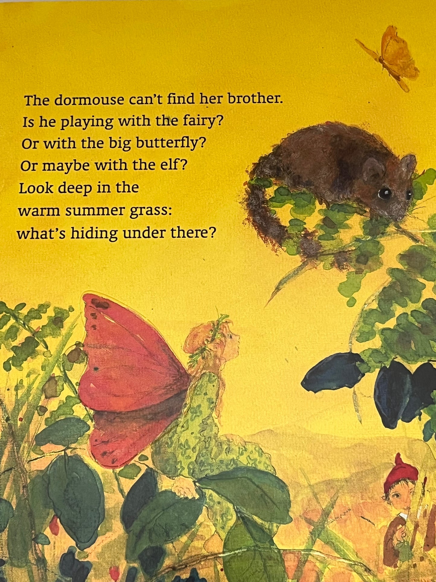 Board Picture Book, Baby - WHAT'S HIDING IN THERE?...a lift-the-flaps book!