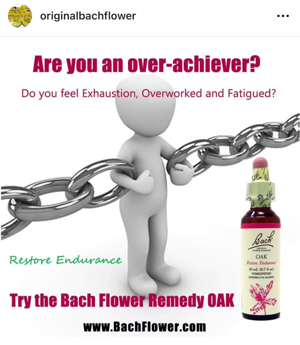 Bach Holistic Flower Remedies - OAK