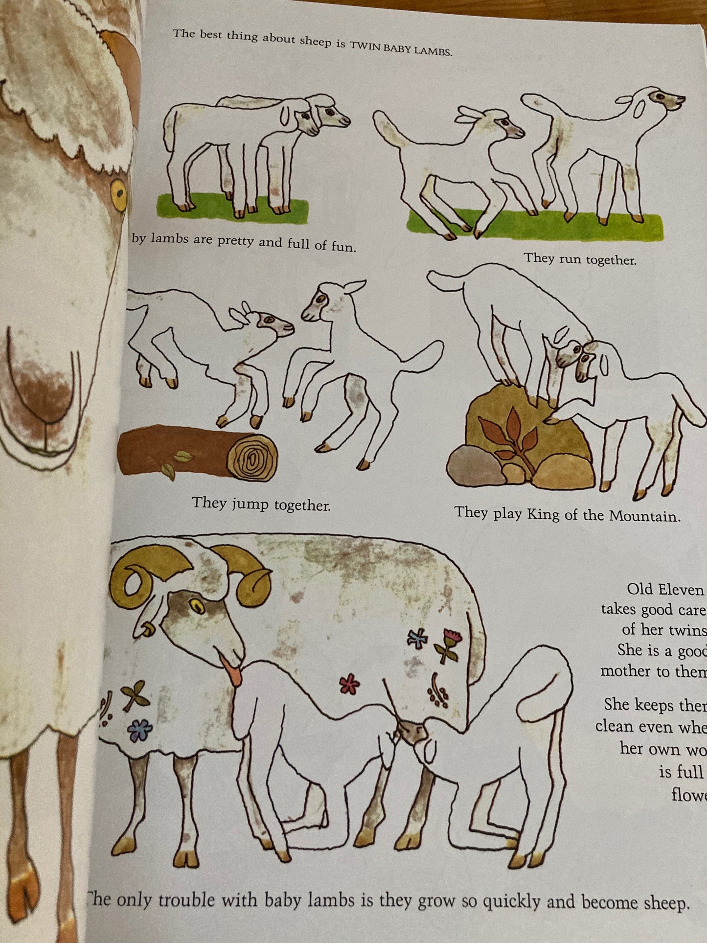 Livre d'images pour enfants - NOS AMIS LES ANIMAUX