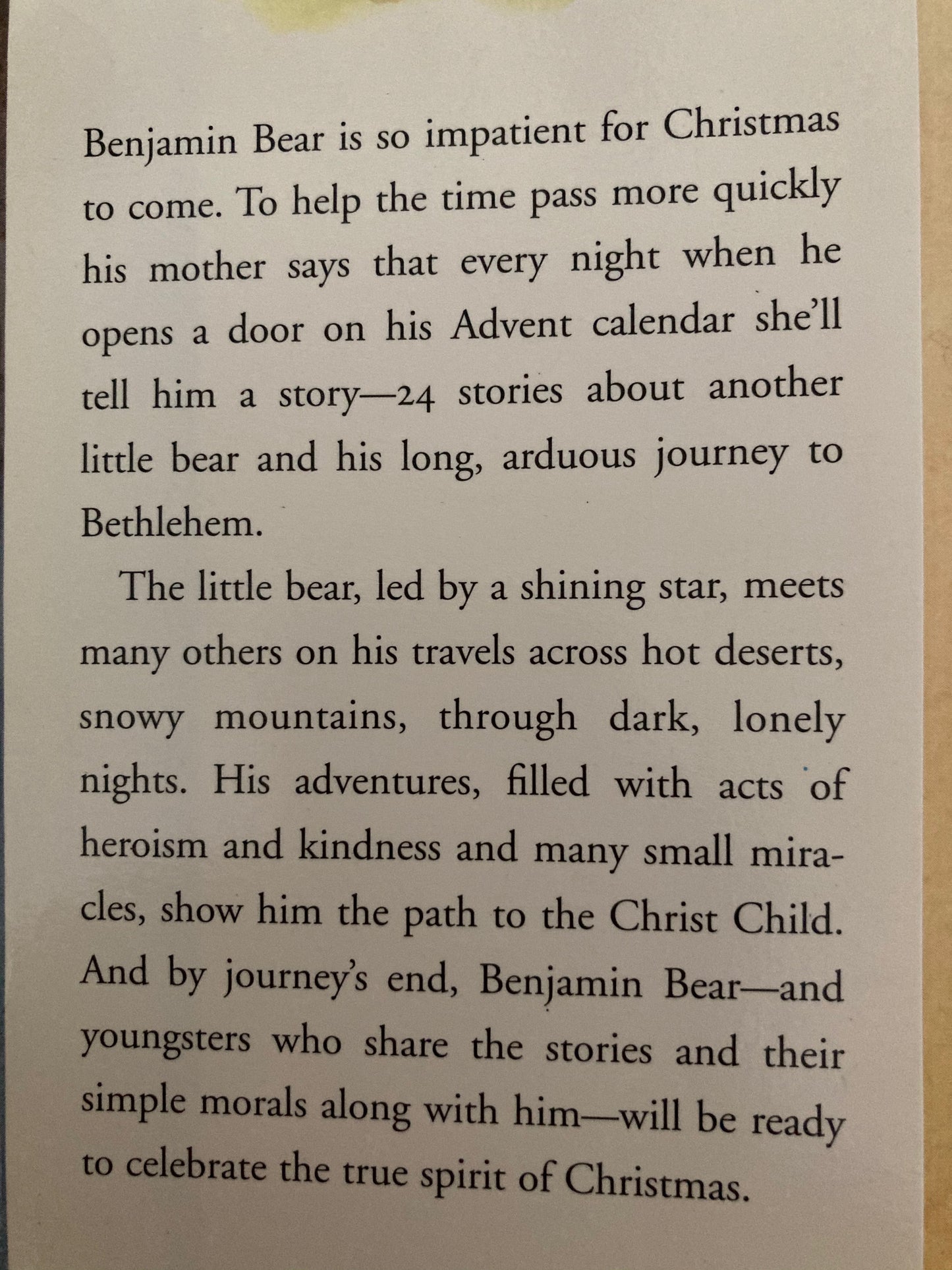 Children's Picture Book - ADVENT STORYBOOK