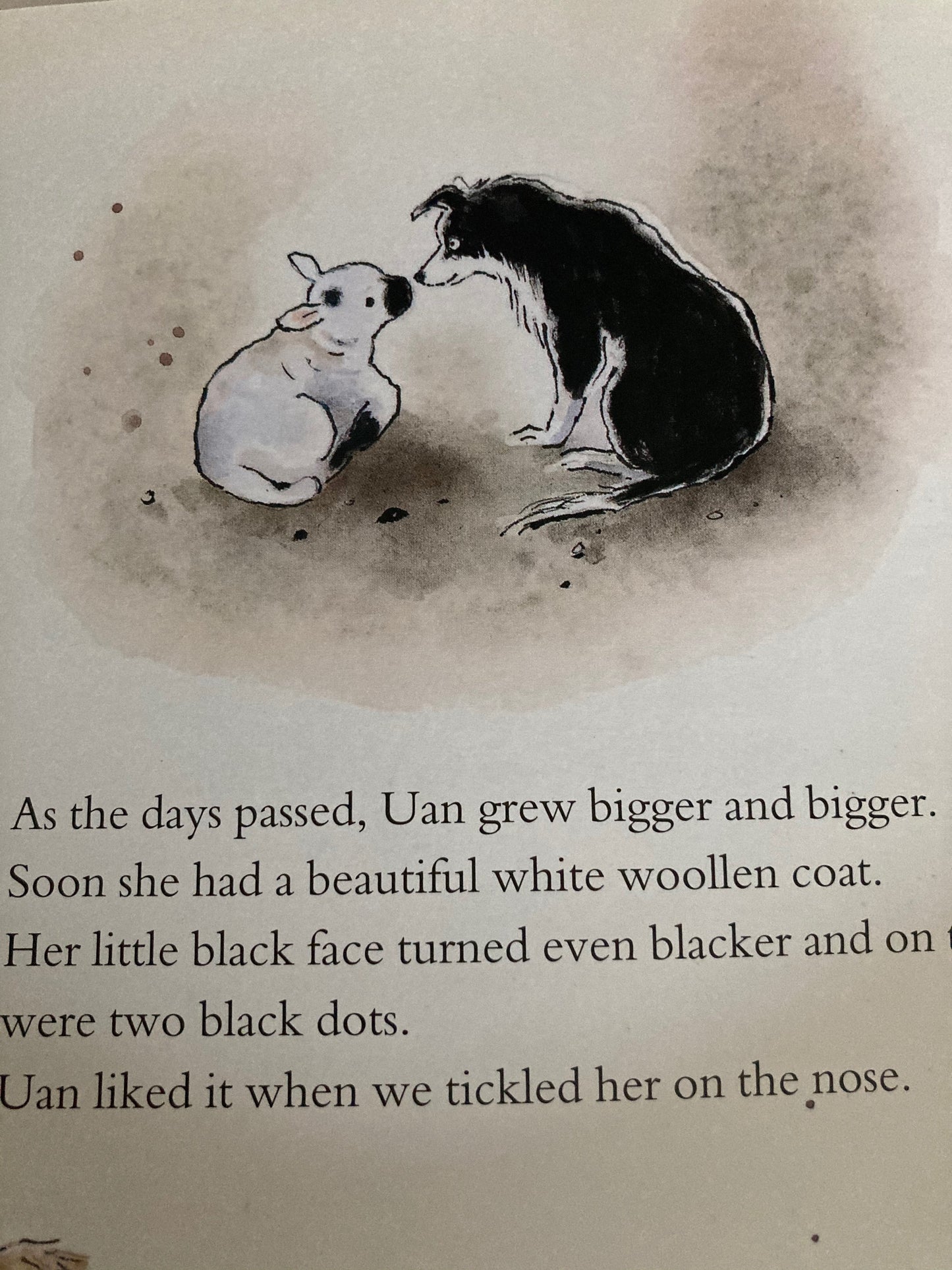 Livre d'images pour enfants - PEG, le PETIT CHIEN DE BERGER, ou UAN, le PETIT AGNEAU