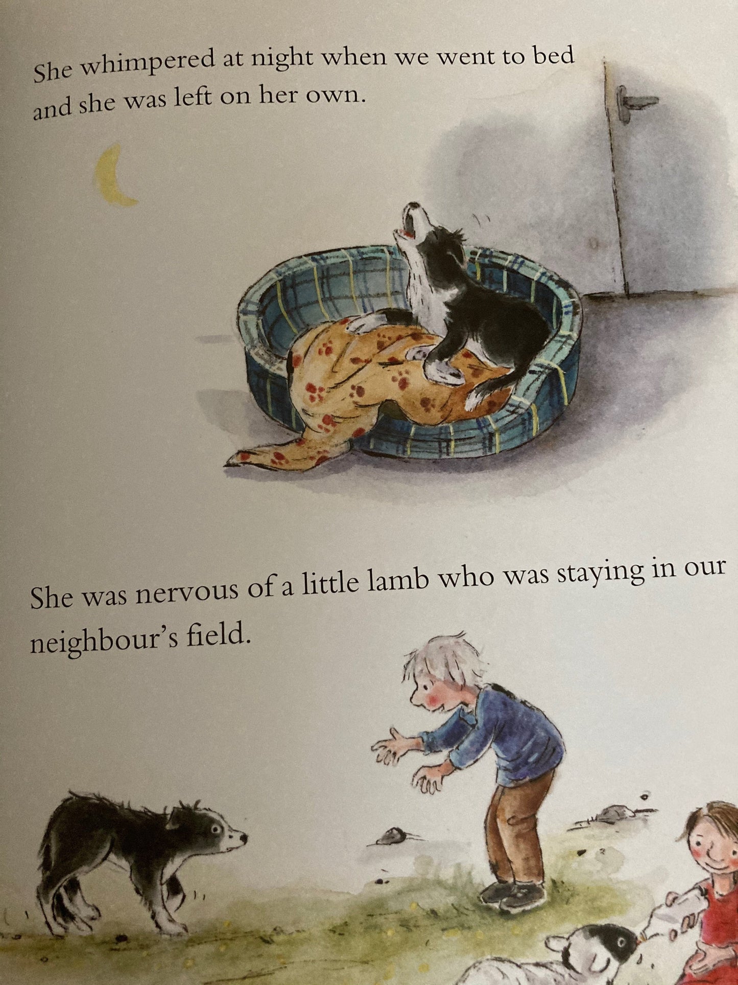 Livre d'images pour enfants - PEG, le PETIT CHIEN DE BERGER, ou UAN, le PETIT AGNEAU
