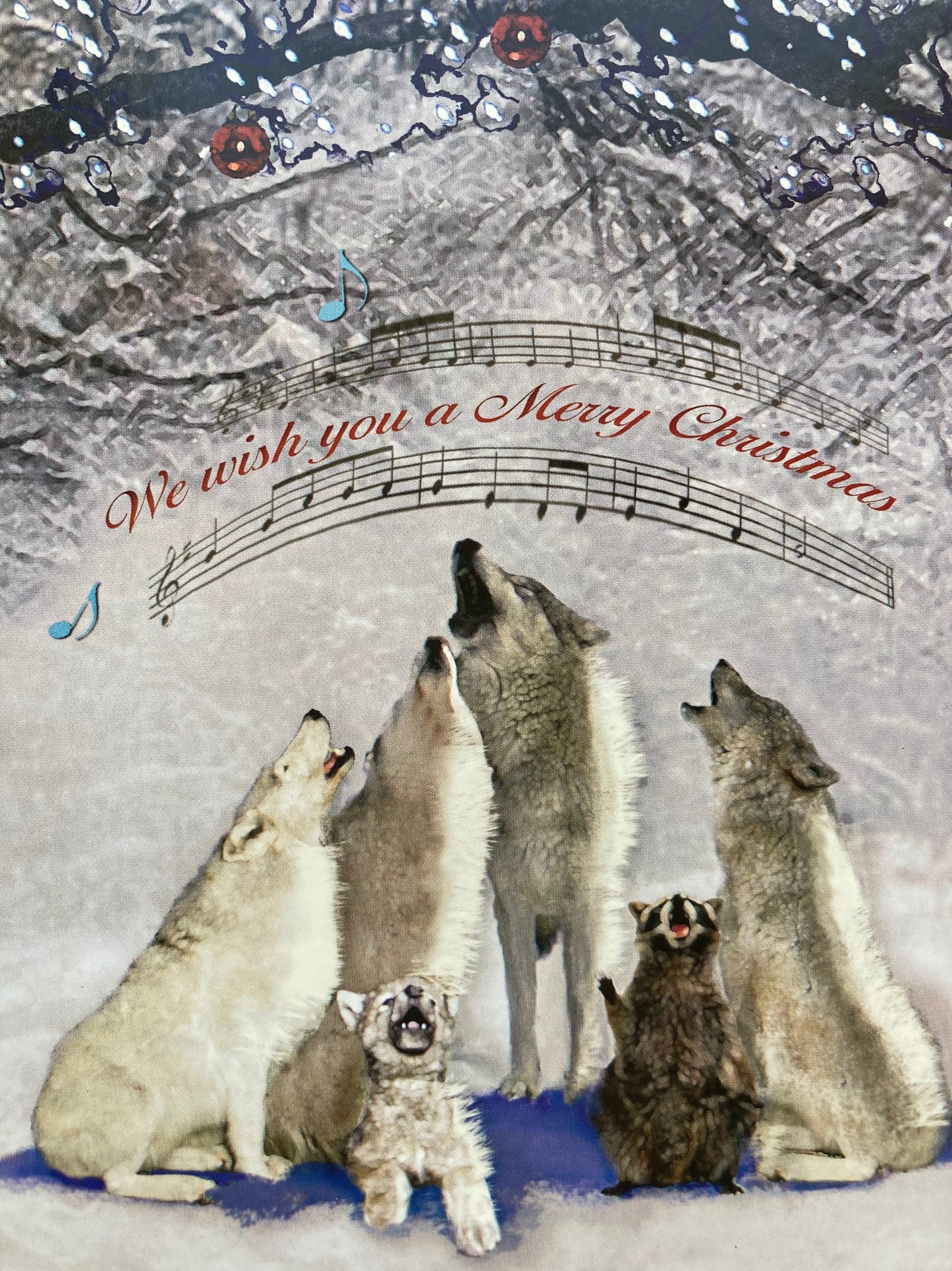 GIFT CARD for GNOMES & ACORNS: WINTER, CHRISTMAS GIFT CARDS