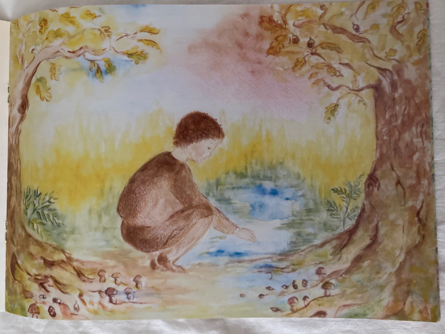Livre d'images pour enfants - À LA RECHERCHE D'UNE FÉE