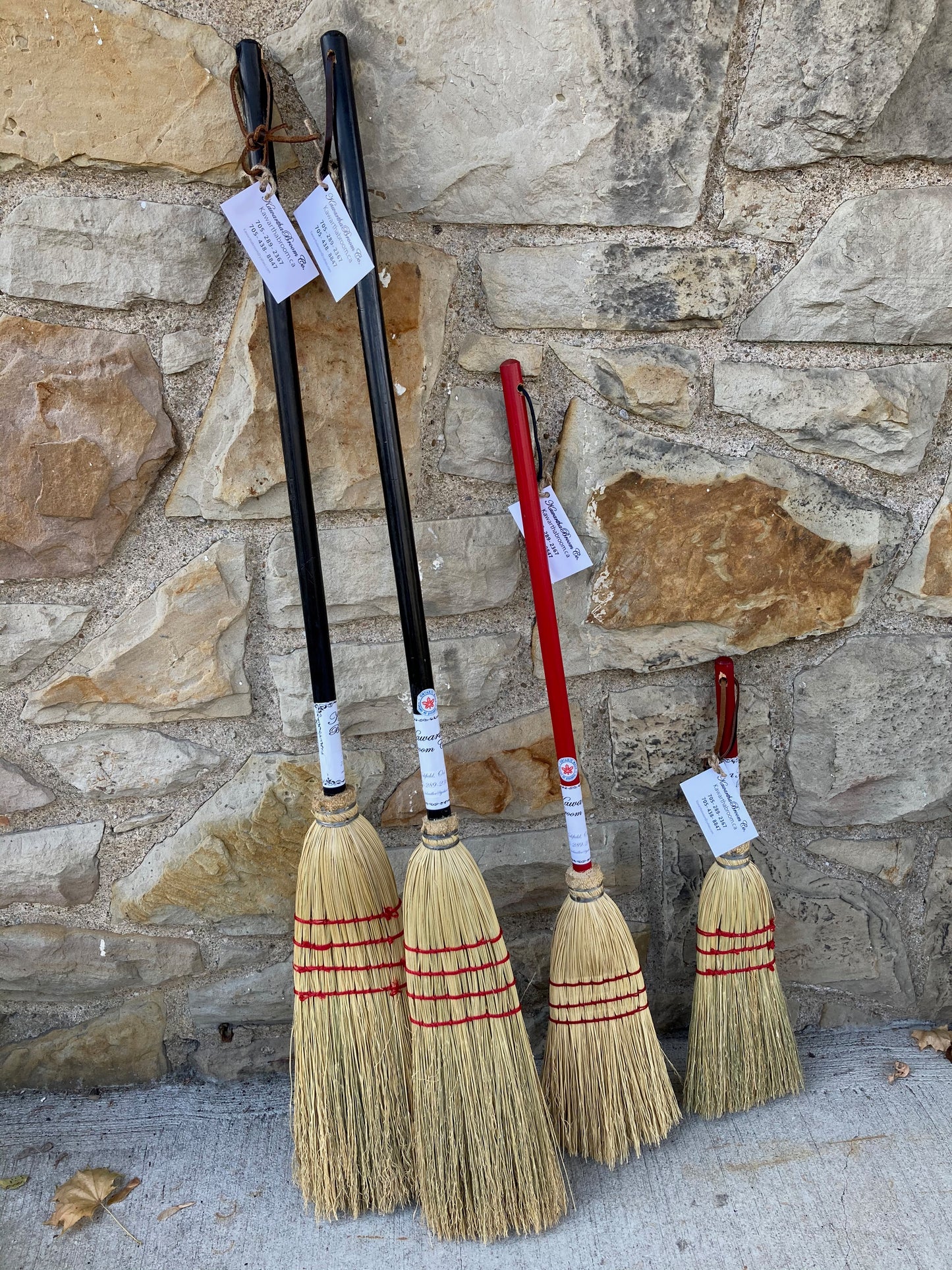 EcoHome - WHISK BROOM
