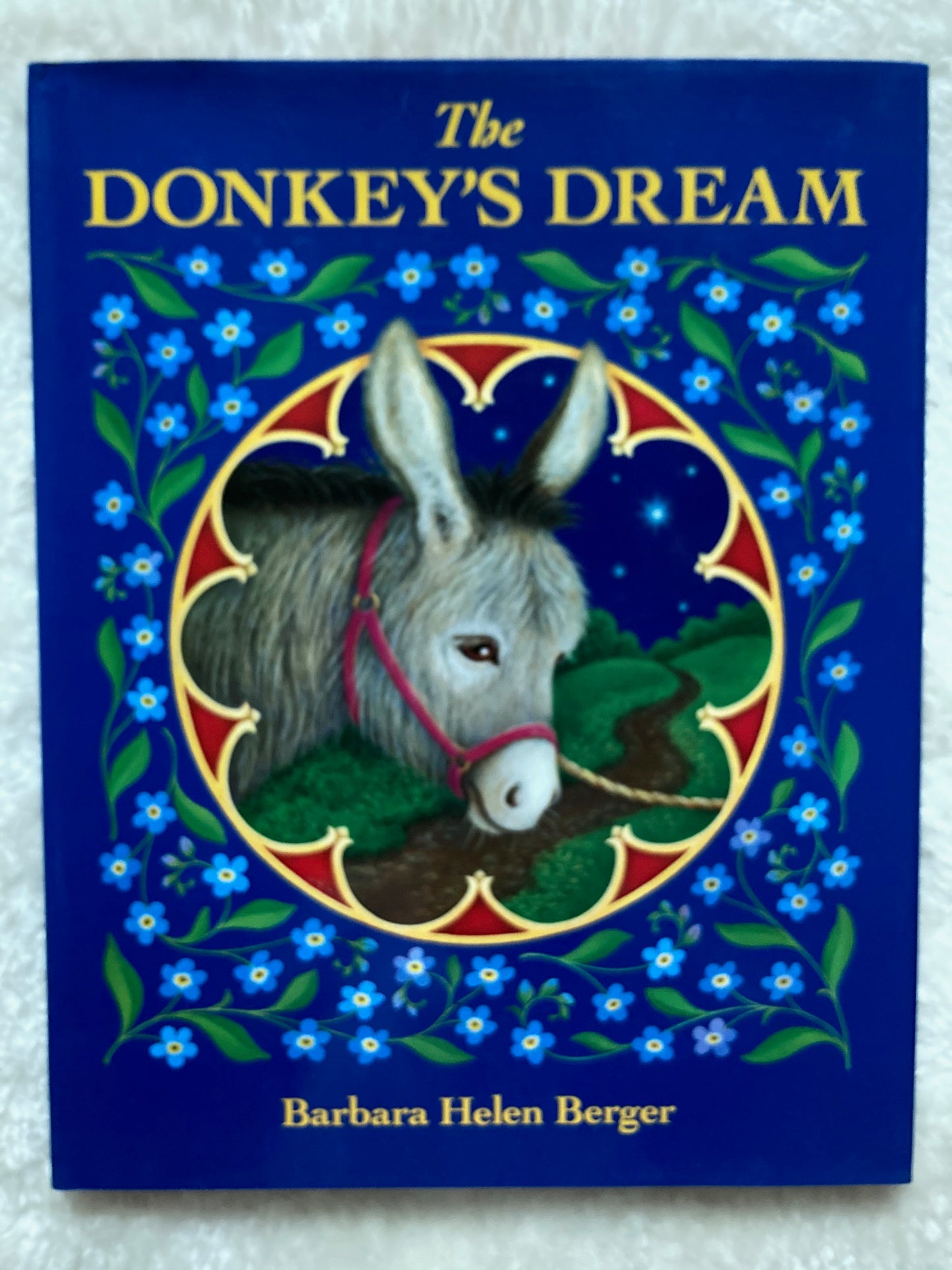 Children's Picture Book - THE DONKEY'S DREAM
