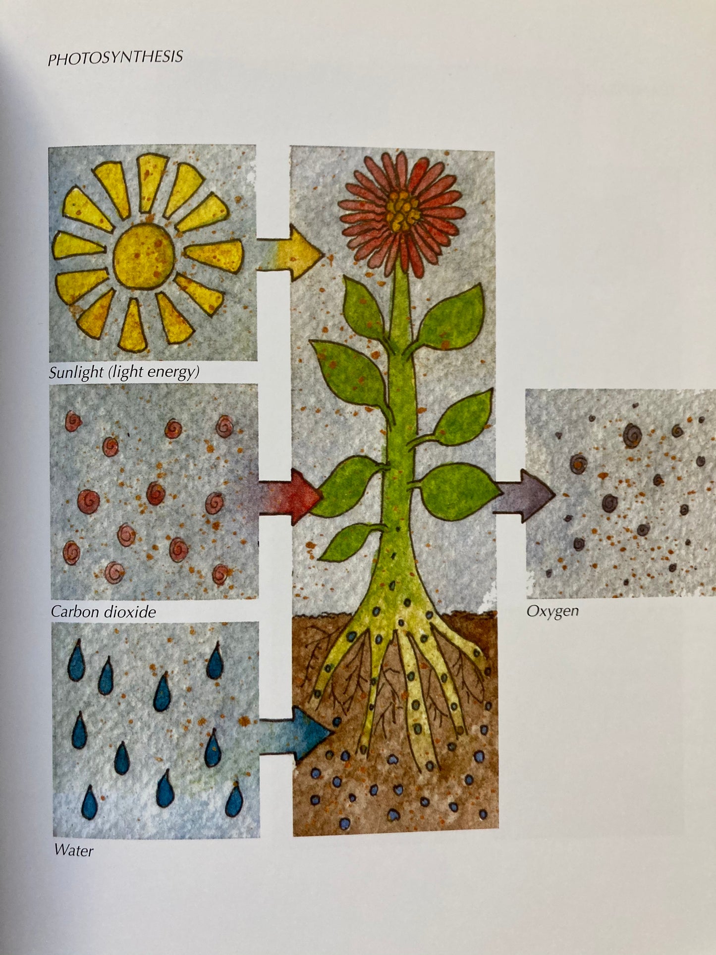 Livre de ressources parentales - DOIGTS VERTS et BOTTES MUDDY