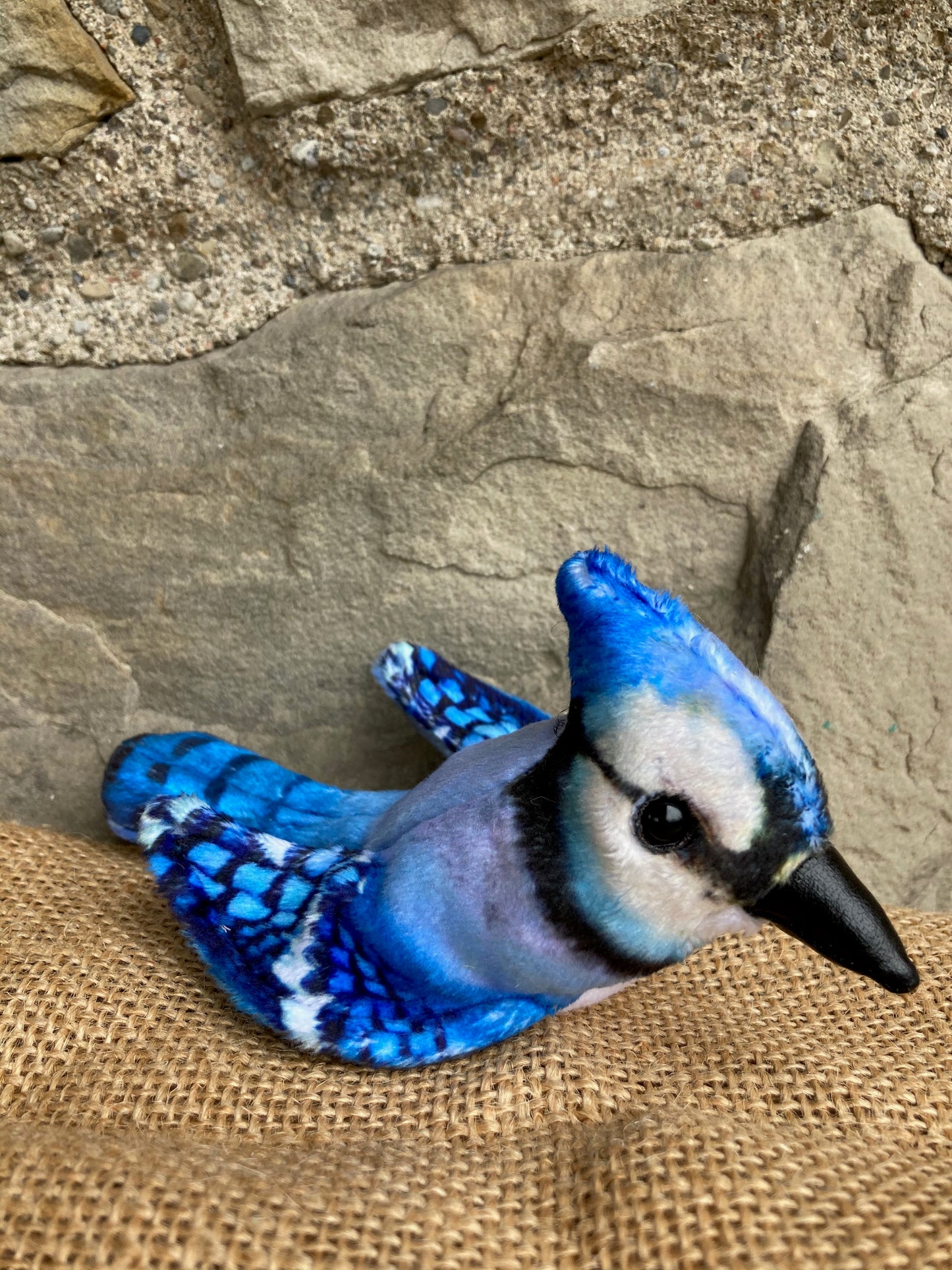 Soft Mini Puppet Set - BACKYARD BIRDS