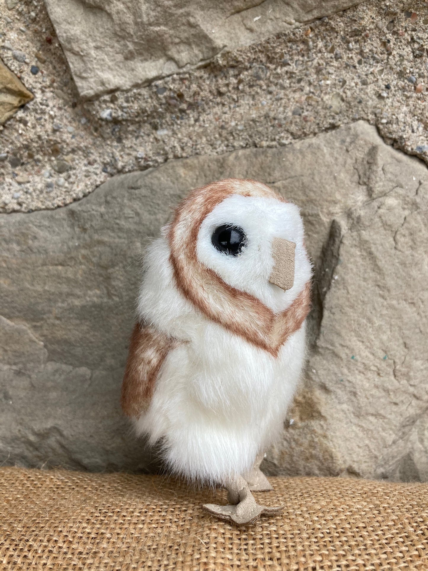 Soft Mini Puppet Set - WILD ANIMALS of GEORGIAN BAY