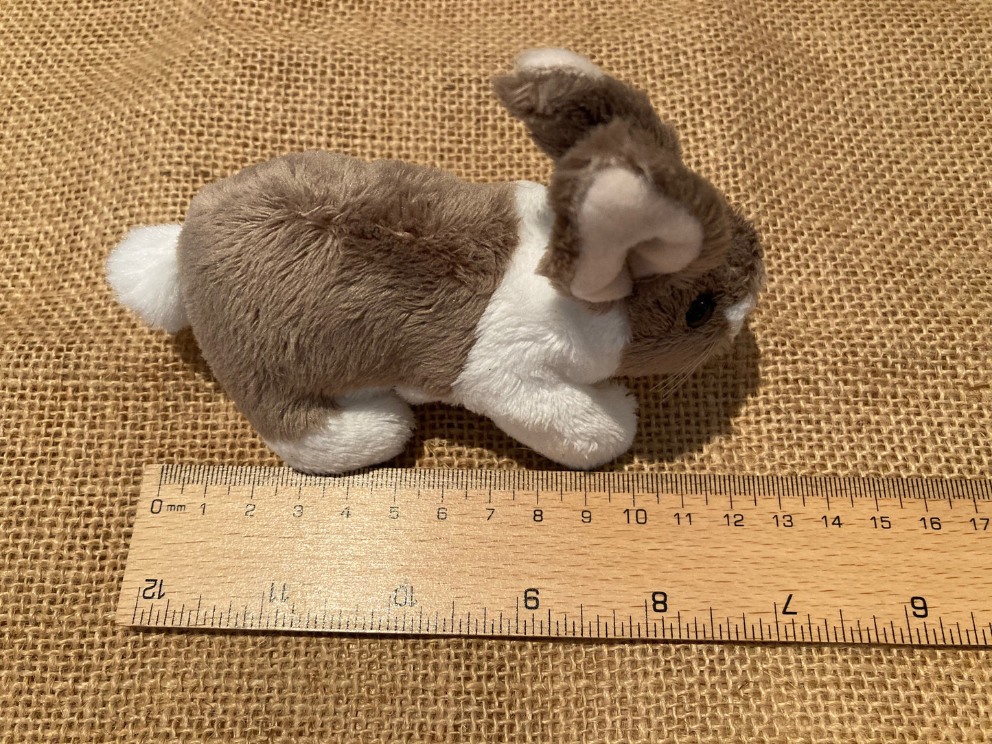Soft Mini Puppet Set - WILD ANIMALS of the GATINEAU HILLS