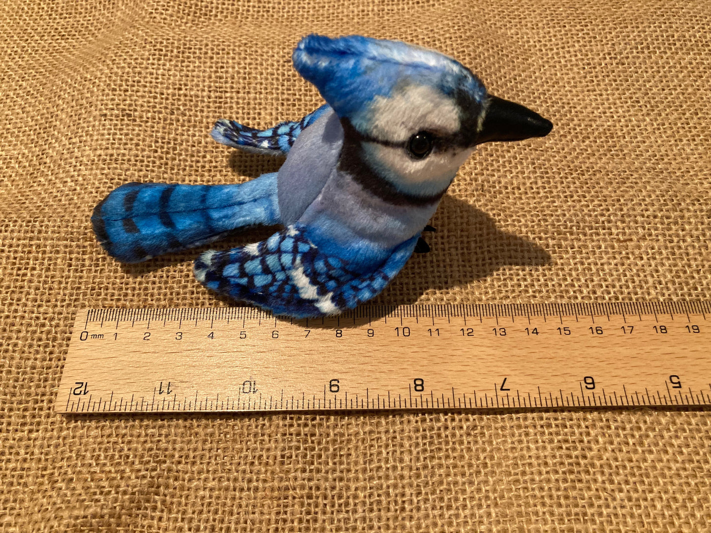 Soft Mini Puppet Set - BACKYARD BIRDS