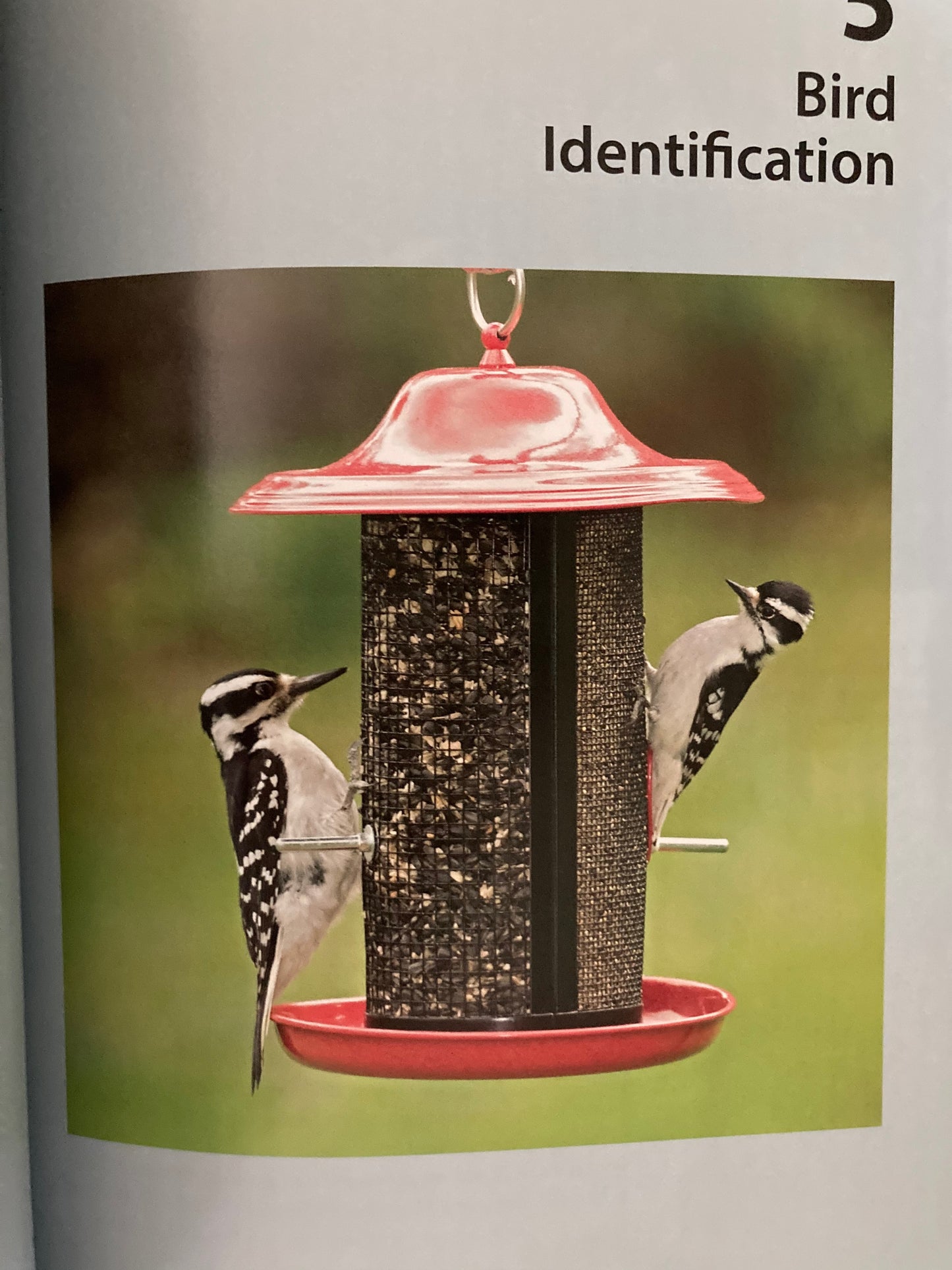 Ouvrage de référence pédagogique - NOURRIR LES OISEAUX