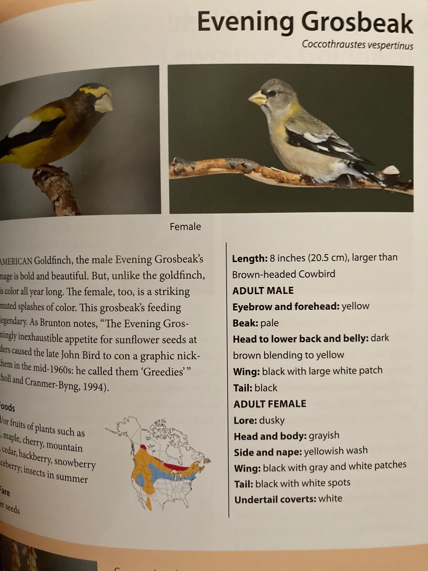 Ouvrage de référence pédagogique - NOURRIR LES OISEAUX