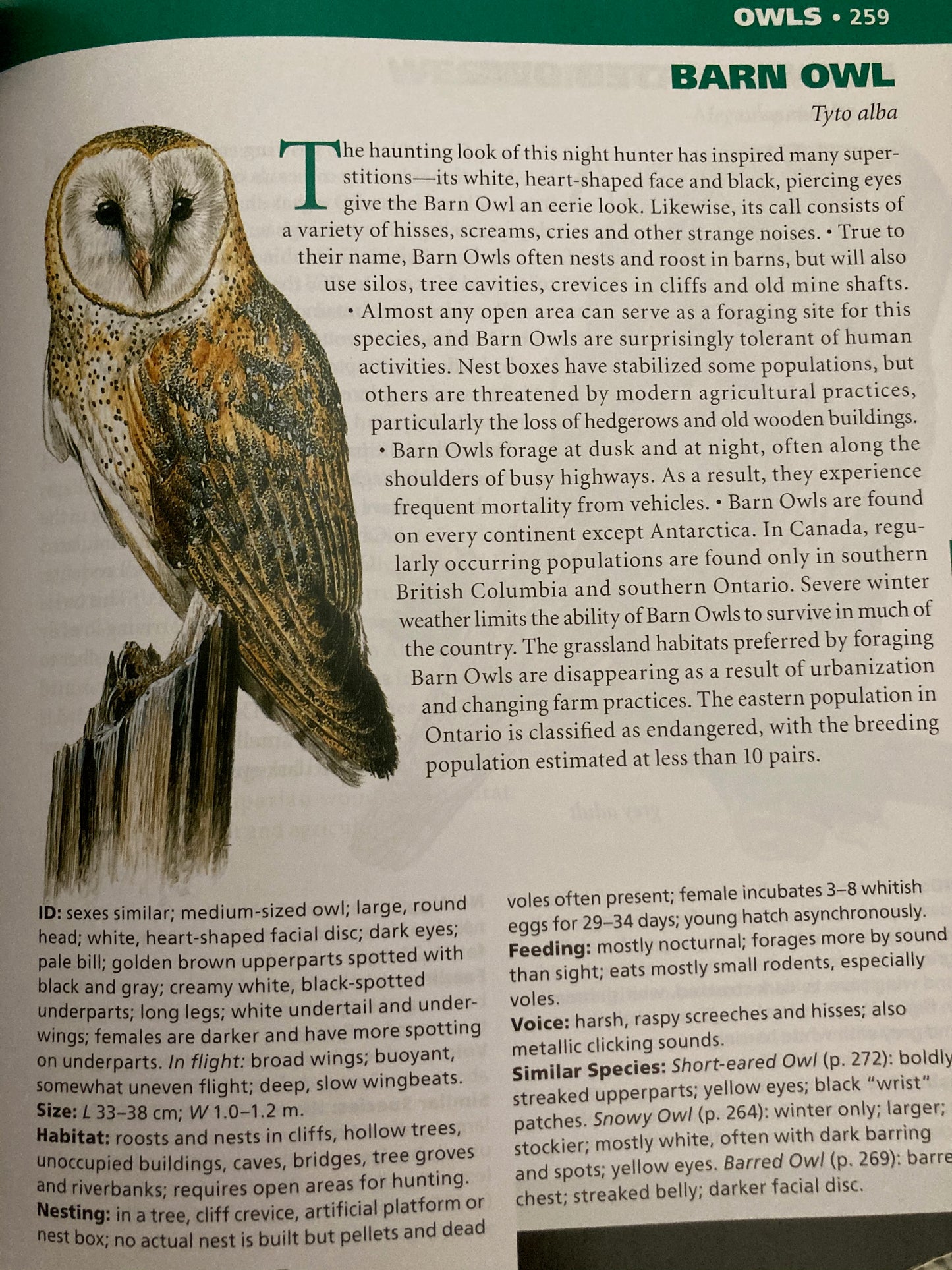 Educational Reference Book - BIRDS OF CANADA