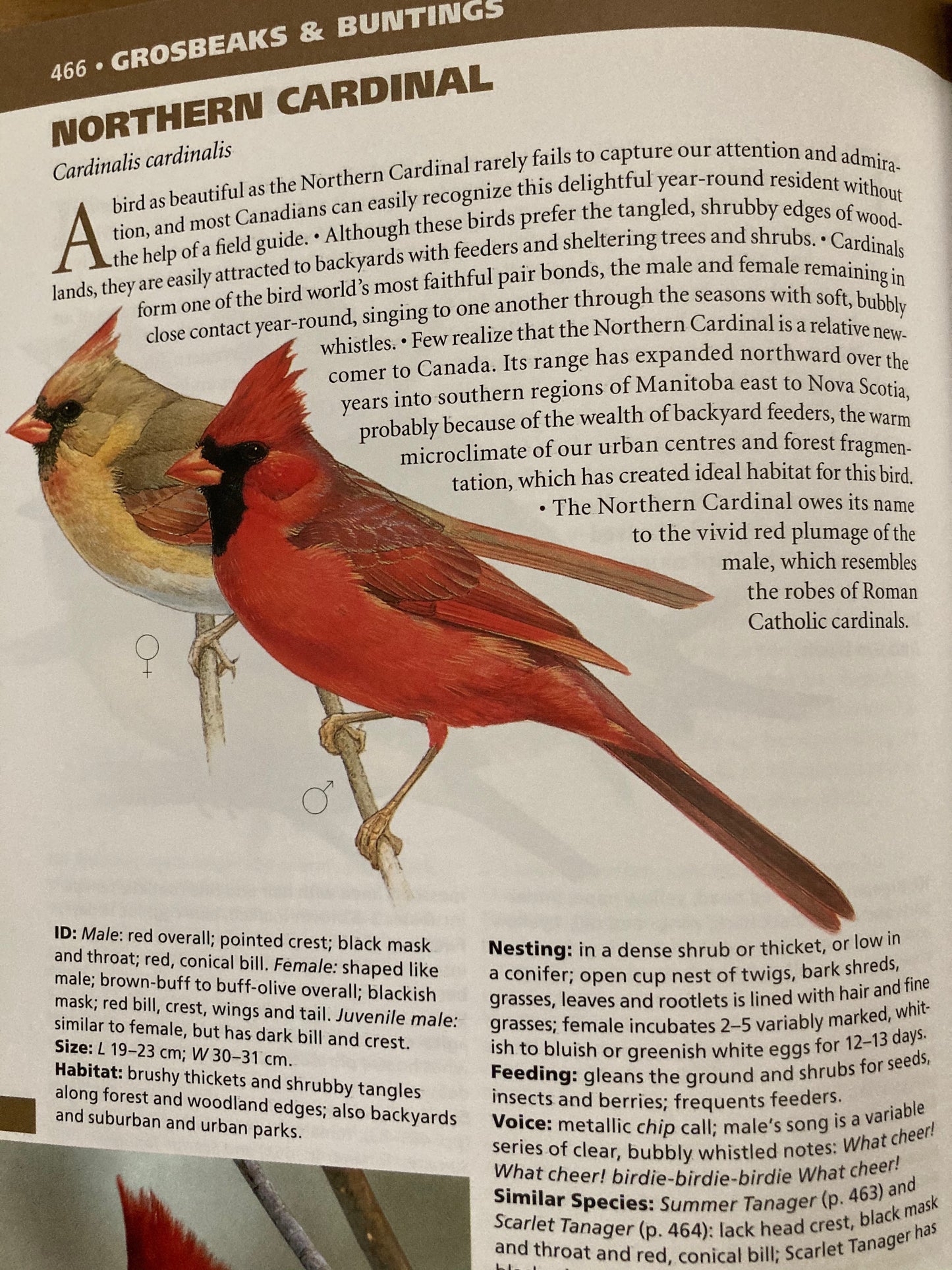 Educational Reference Book - BIRDS OF CANADA