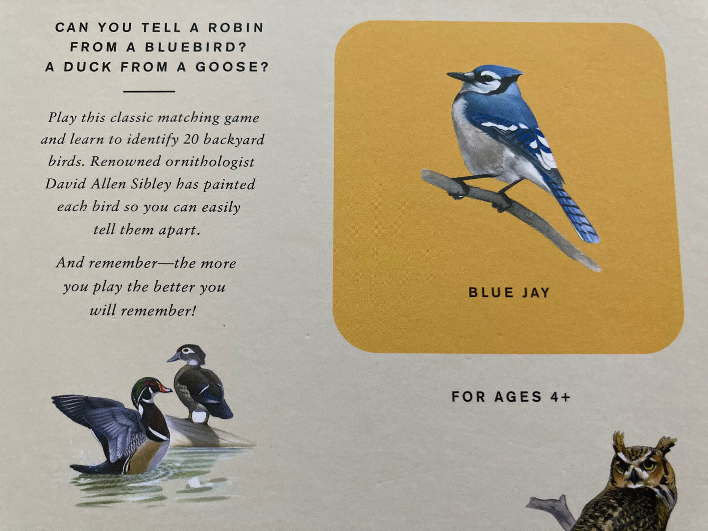 Educational Game - BACKYARD BIRDS MEMORY