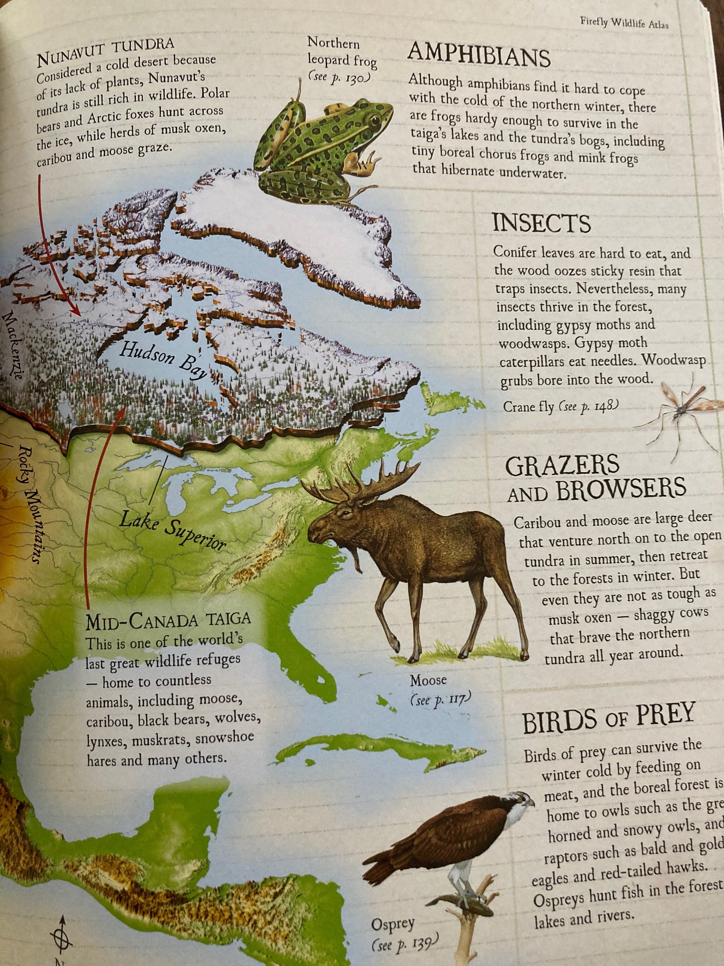 Ouvrage de référence pédagogique - ATLAS DE LA FAUNE
