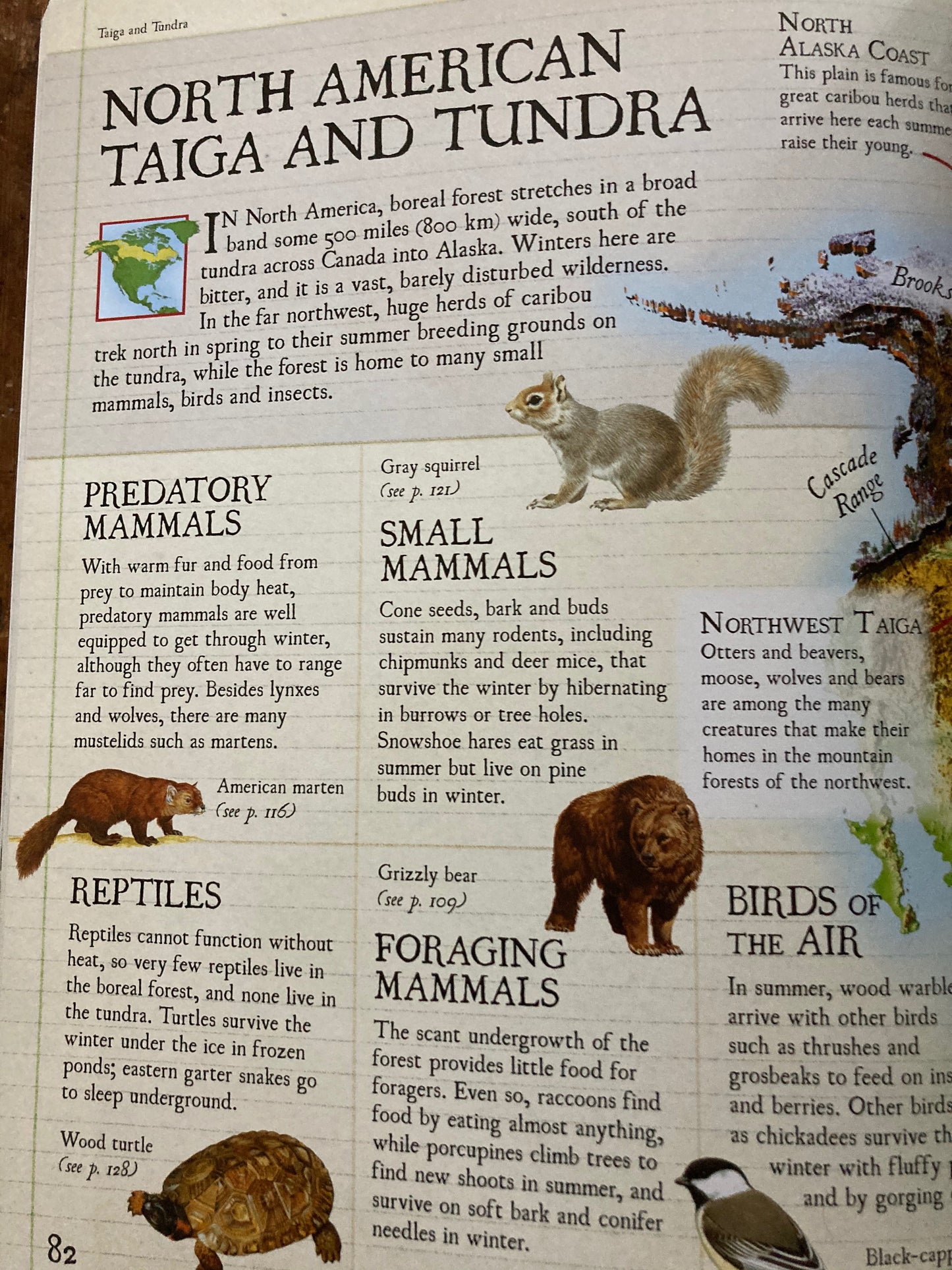 Ouvrage de référence pédagogique - ATLAS DE LA FAUNE