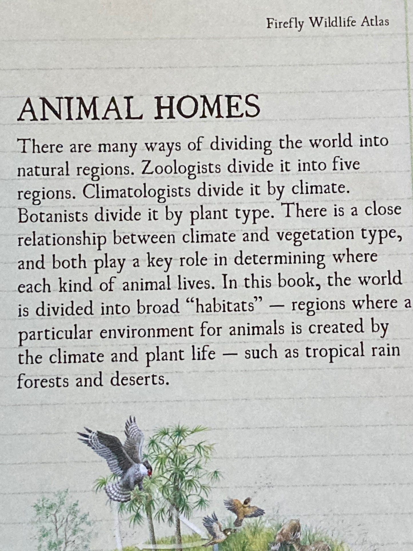 Ouvrage de référence pédagogique - ATLAS DE LA FAUNE
