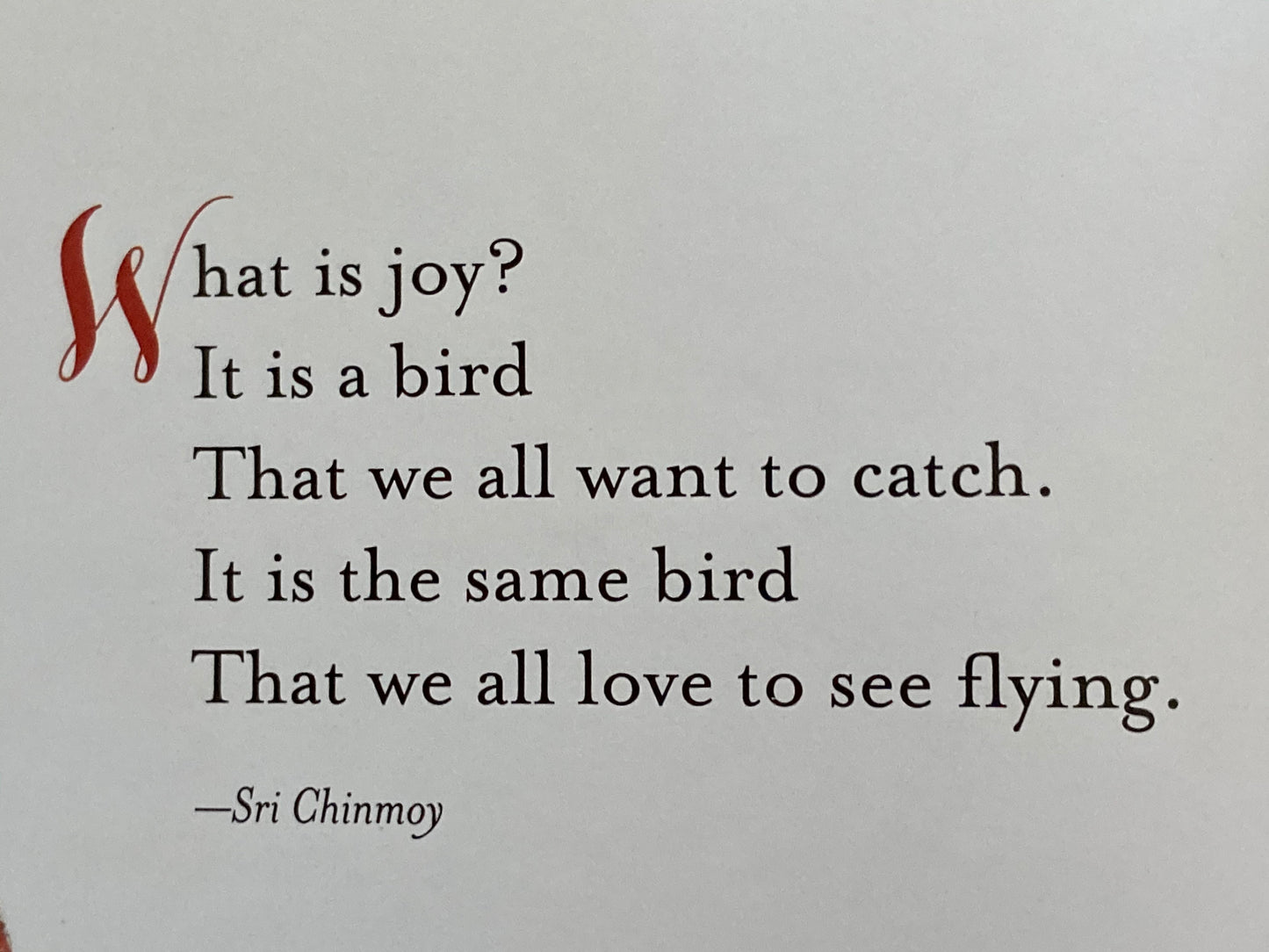 Educational Picture Book - BEAUTIFUL SONGBIRDS
