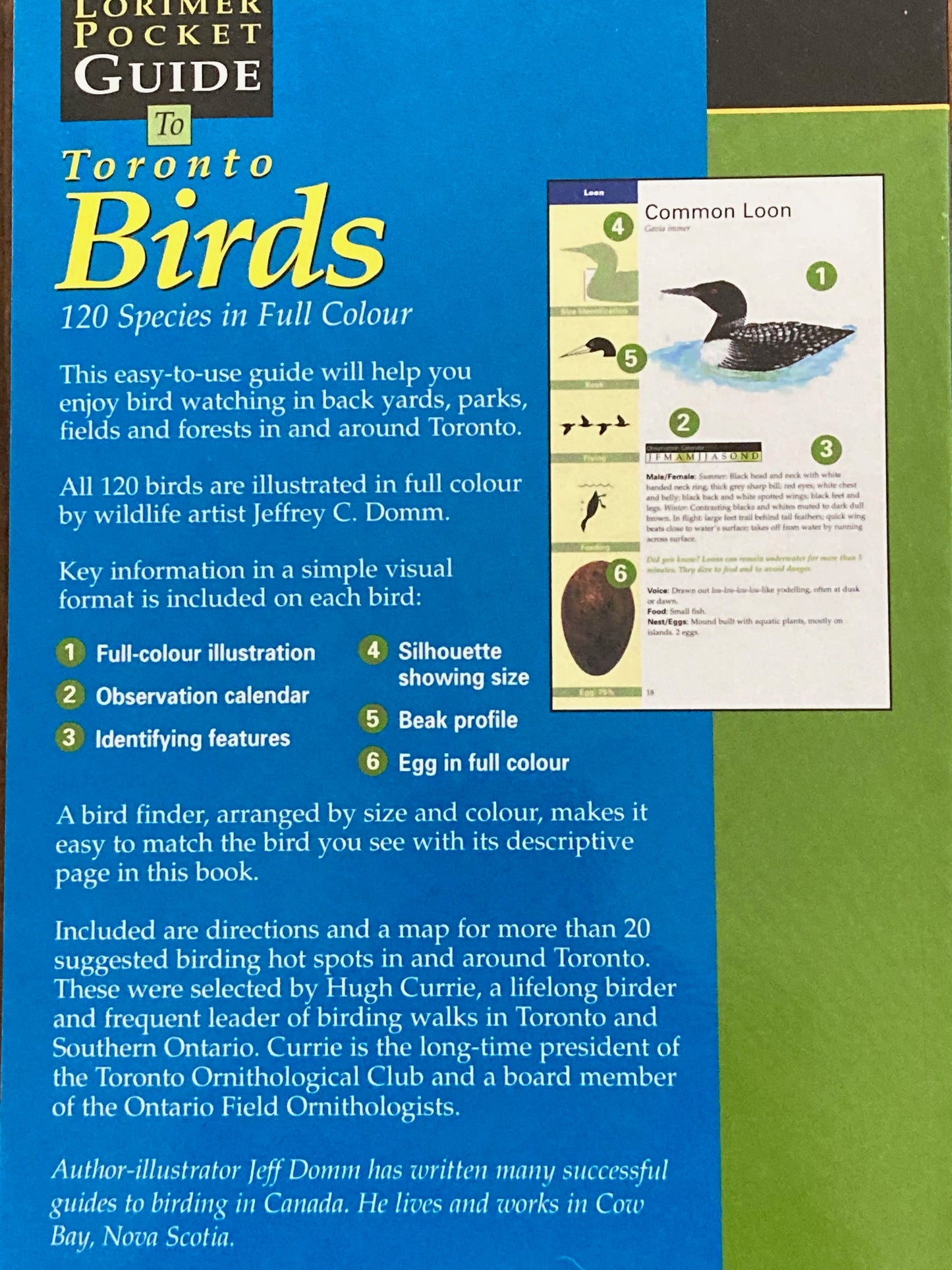Educational Reference Book - TORONTO BIRDS