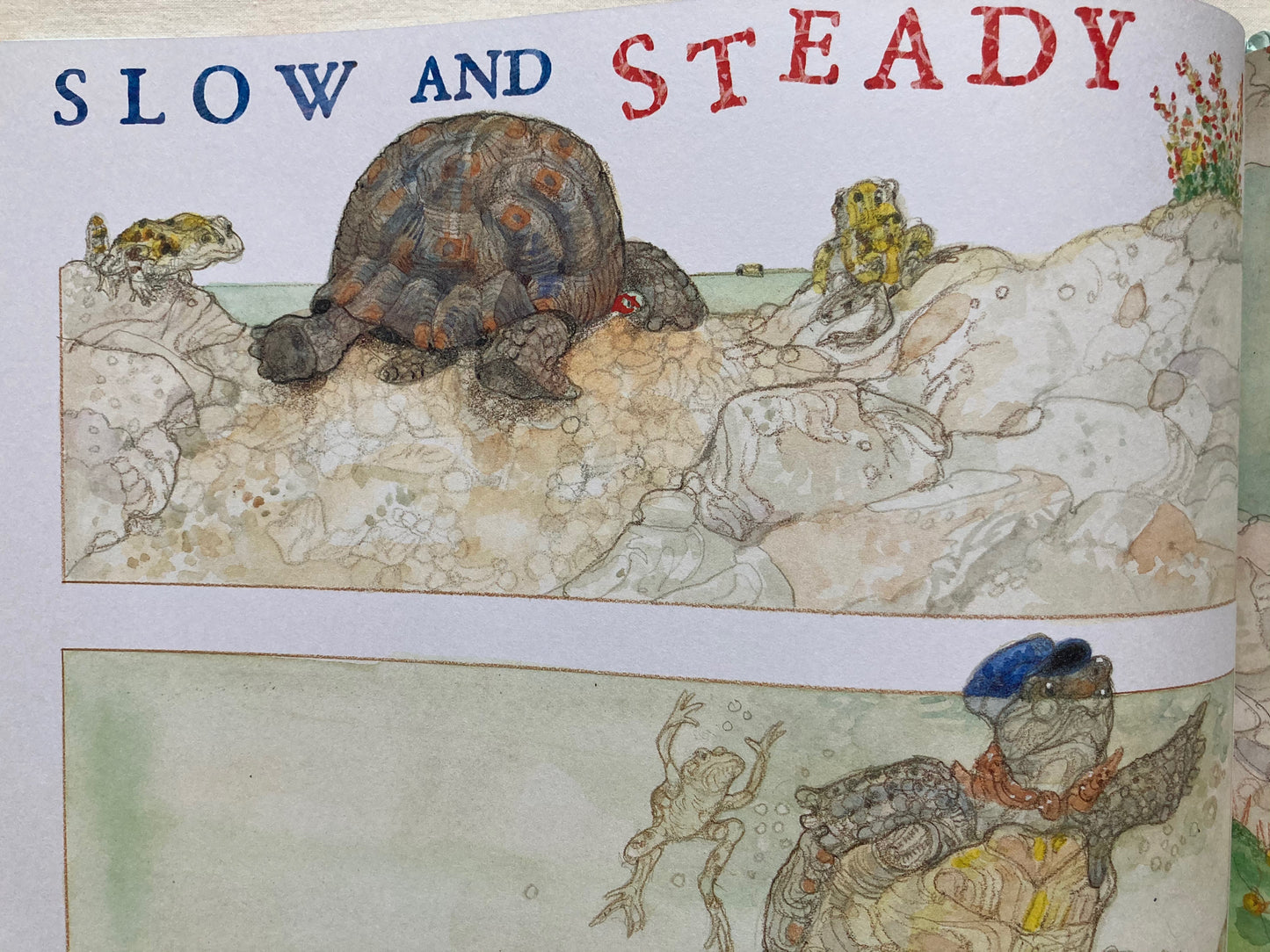 Contes et fables pour enfants - LA TORTUE ET LE LIÈVRE